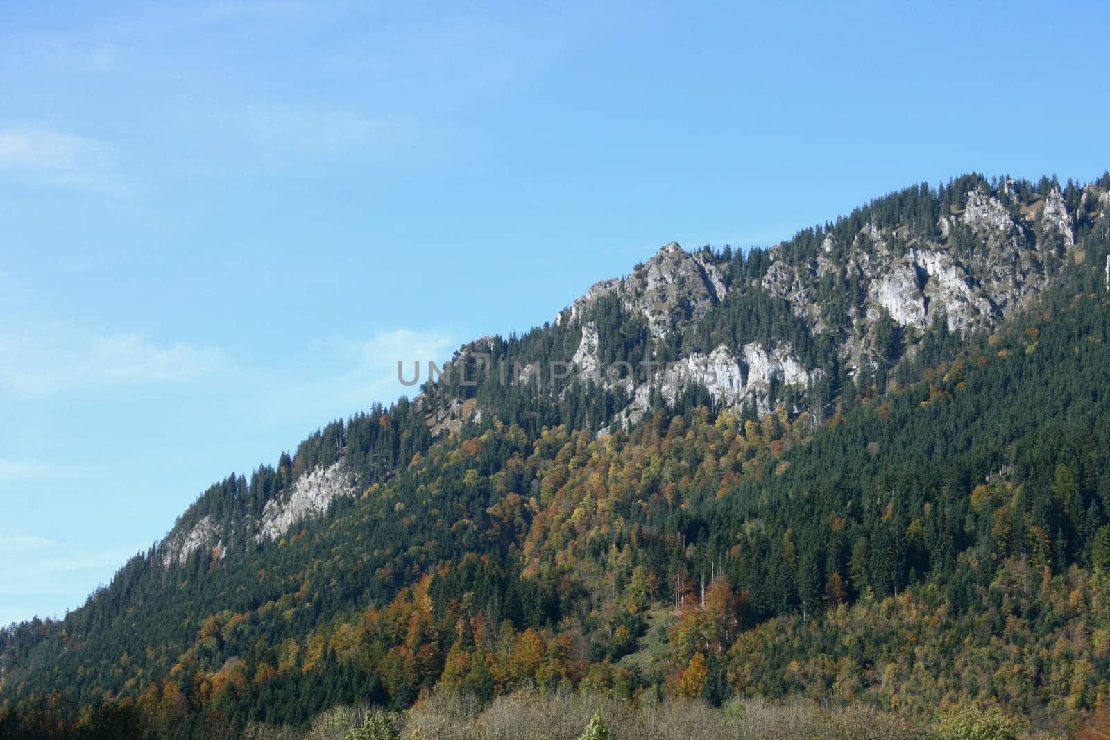 A landscape in the highlands, with rocks, trees and blue sky.
