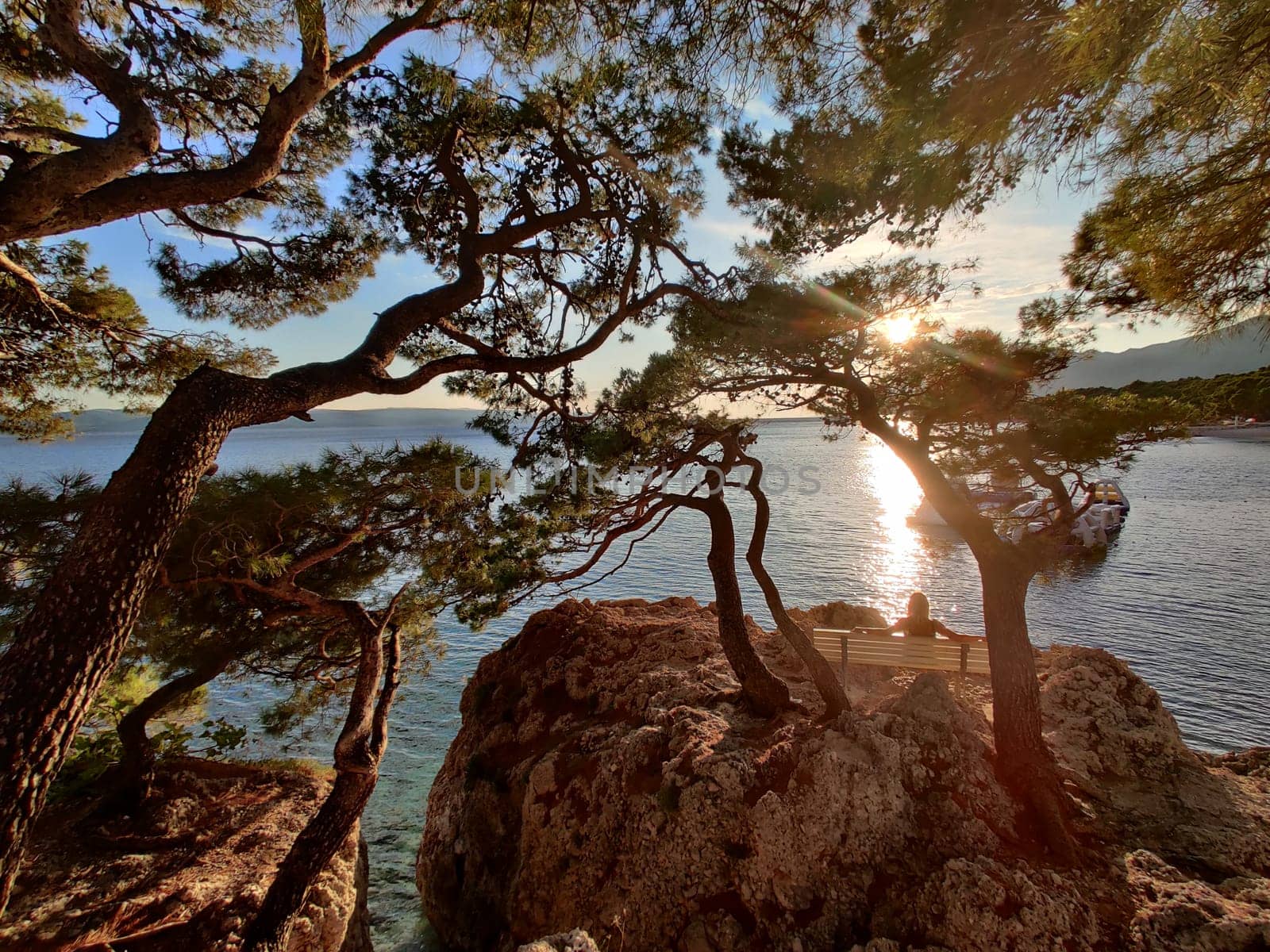 Pensive woman on vacations, sitting and relaxing under large pine tree on bench by dip blue sea enjoying beautiful sunset light in Brela, Makarska region, Dalmatia, Croatia.