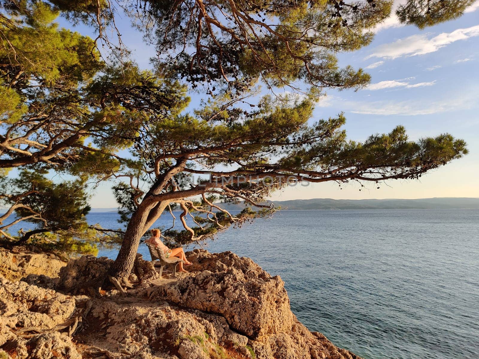 Pensive woman on vacations, sitting and relaxing under large pine tree on bench by dip blue sea enjoying beautiful sunset light in Brela, Makarska region, Dalmatia, Croatia.