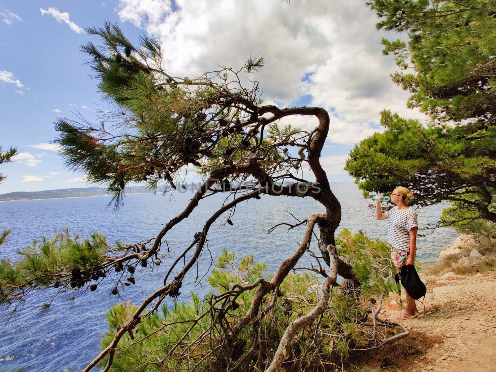 Young active feamle tourist taking a break, drinking water, wearing small backpack while walking on coastal path among pine trees looking for remote cove to swim alone in peace on seaside in Croatia.