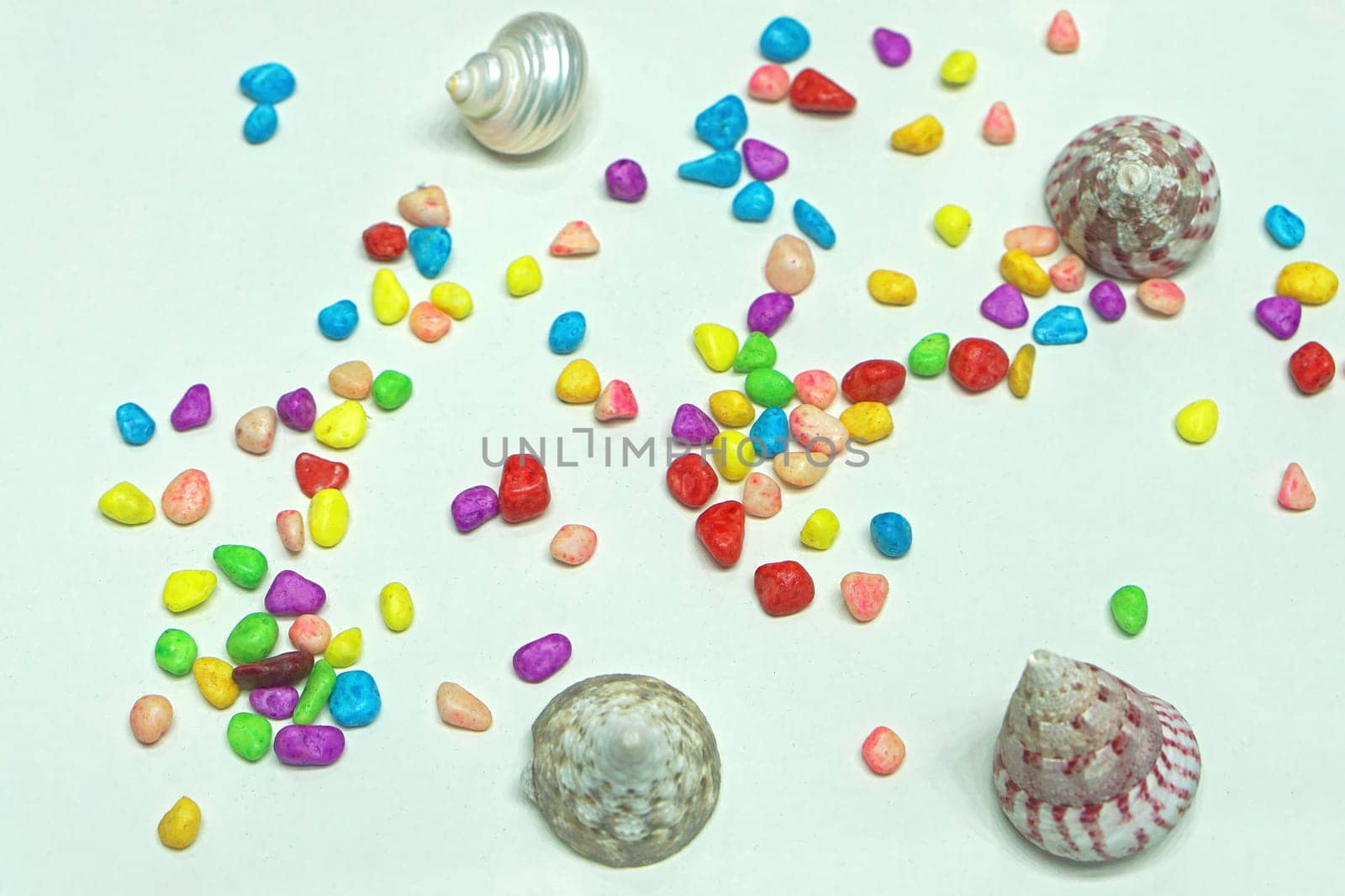 Decorative colourful rocks and sea shells