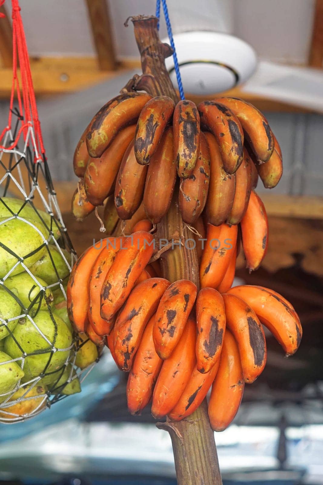 Bunch of red bananas in Africa