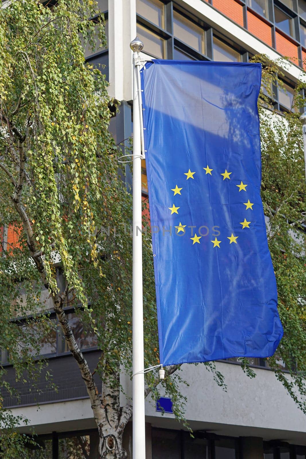 Vertical flag of European Eunion