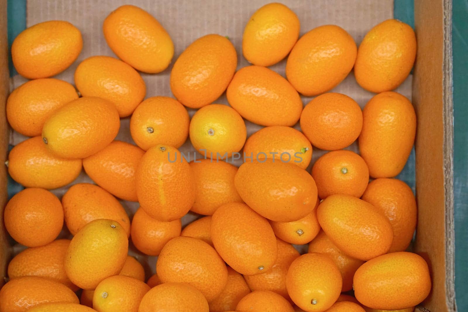 Small orange kumquat fruit in box
