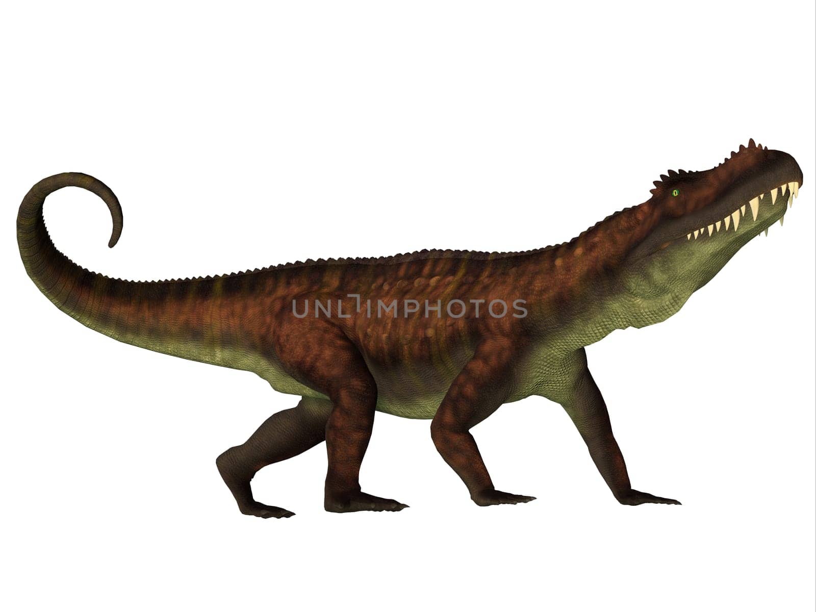 Prestosuchus was a carnivorous archosaur dinosaur that lived in the Triassic Period of Brazil.