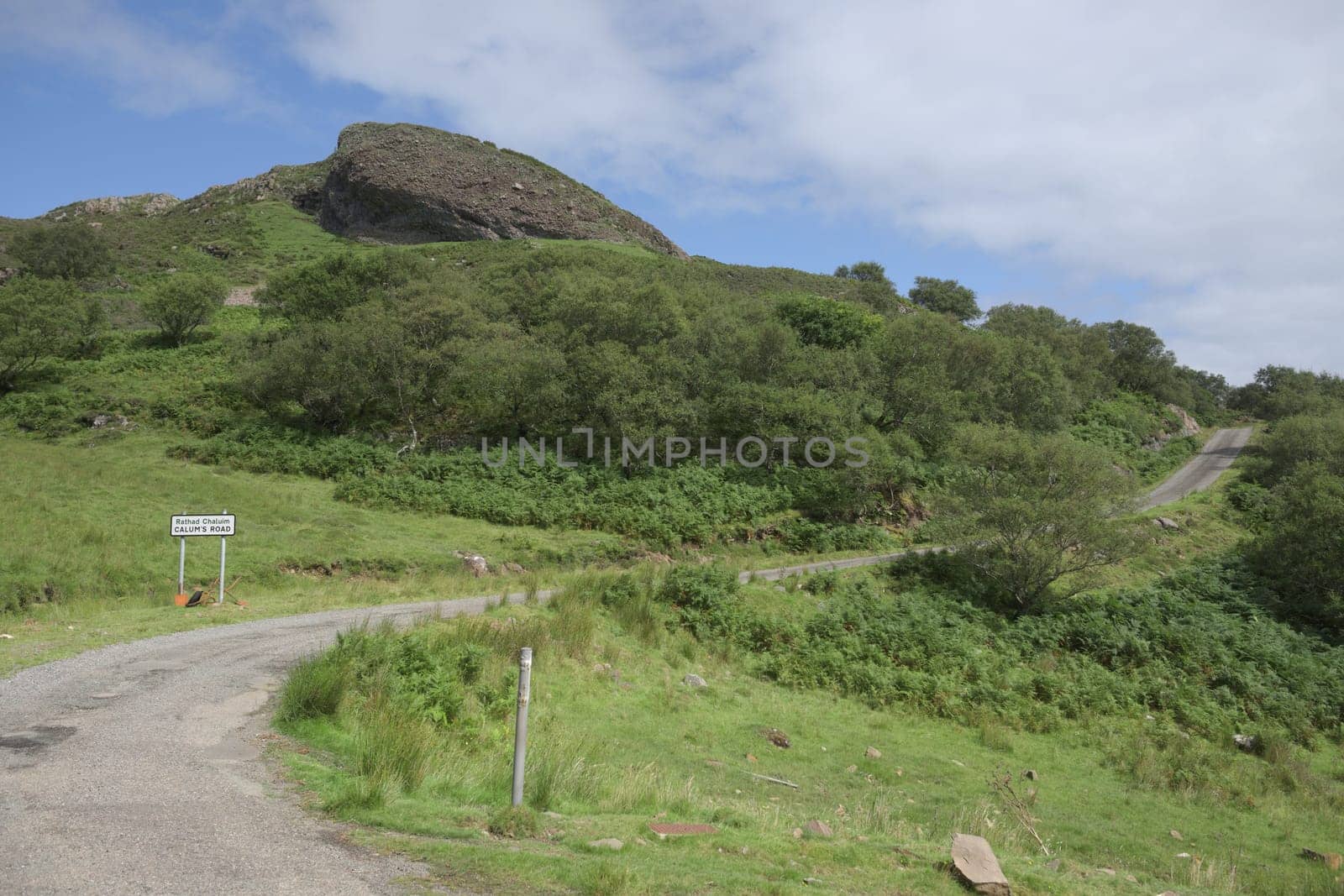 Calum's road sweeps through this image. Taken on a sunny day on the isle of raasay, the lush foliage surrounding the historic road looks good.