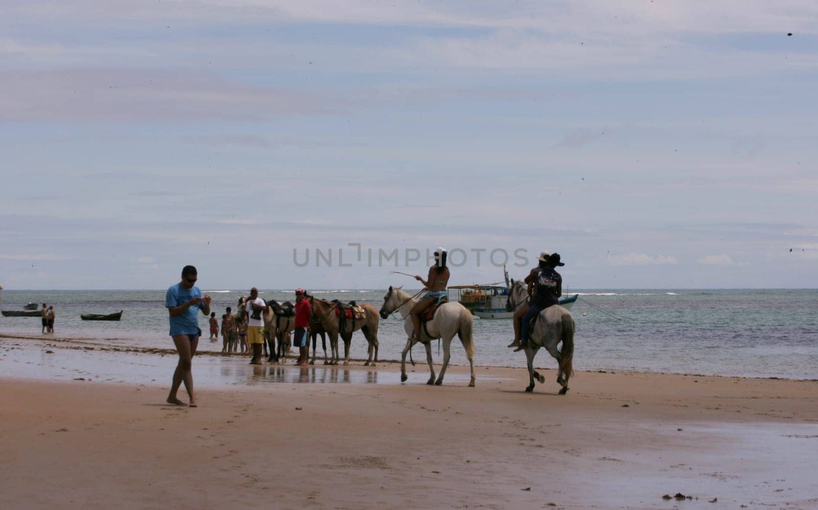 porto seguro, bahia / brazil - march 19, 2010: Horses used for sightseeing in Porto Seguro city beach.