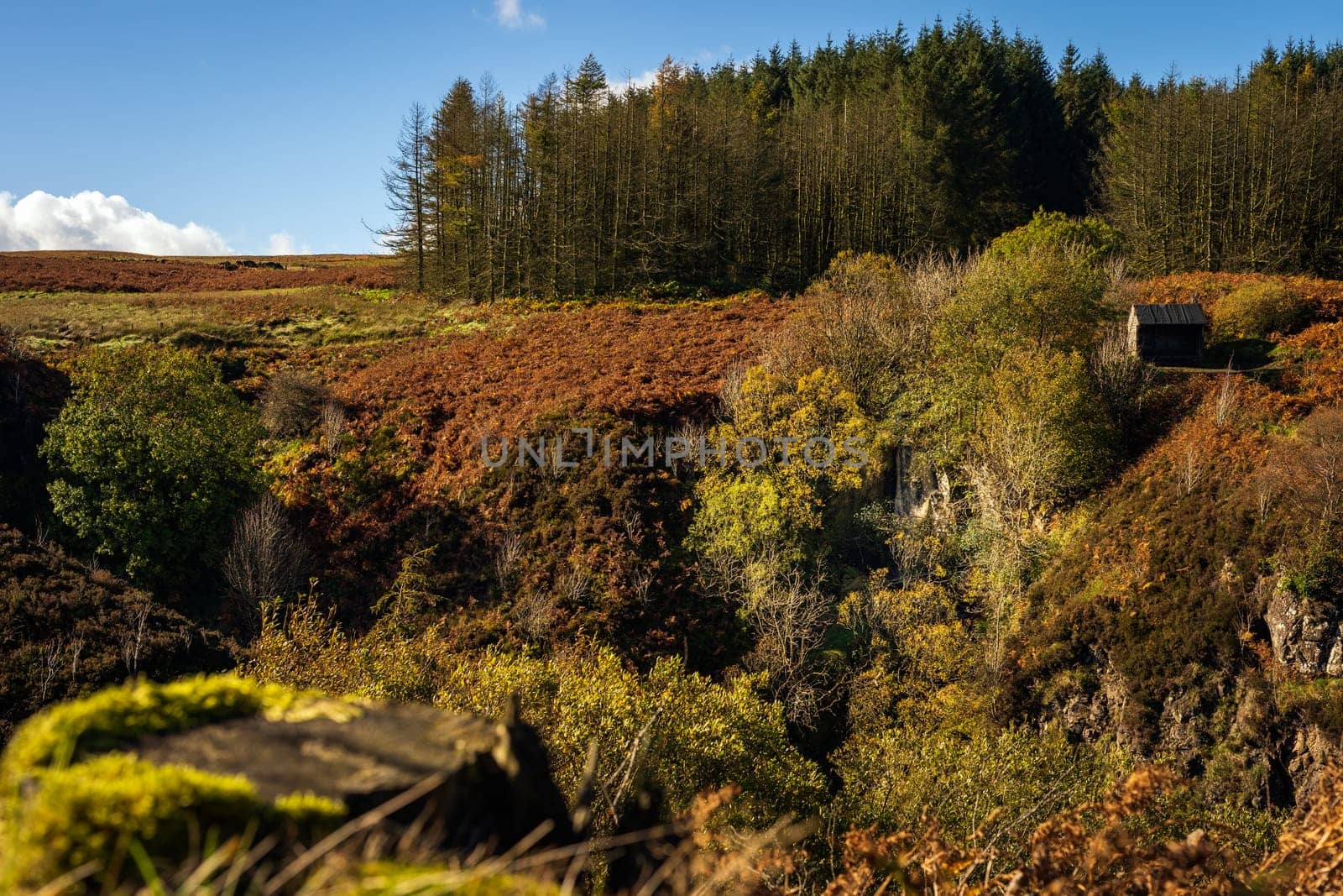 Autumn coloured trees in the valley of Glenariff Forest Park with waterfall and wooden shelter, Count Antrim, Northern Ireland