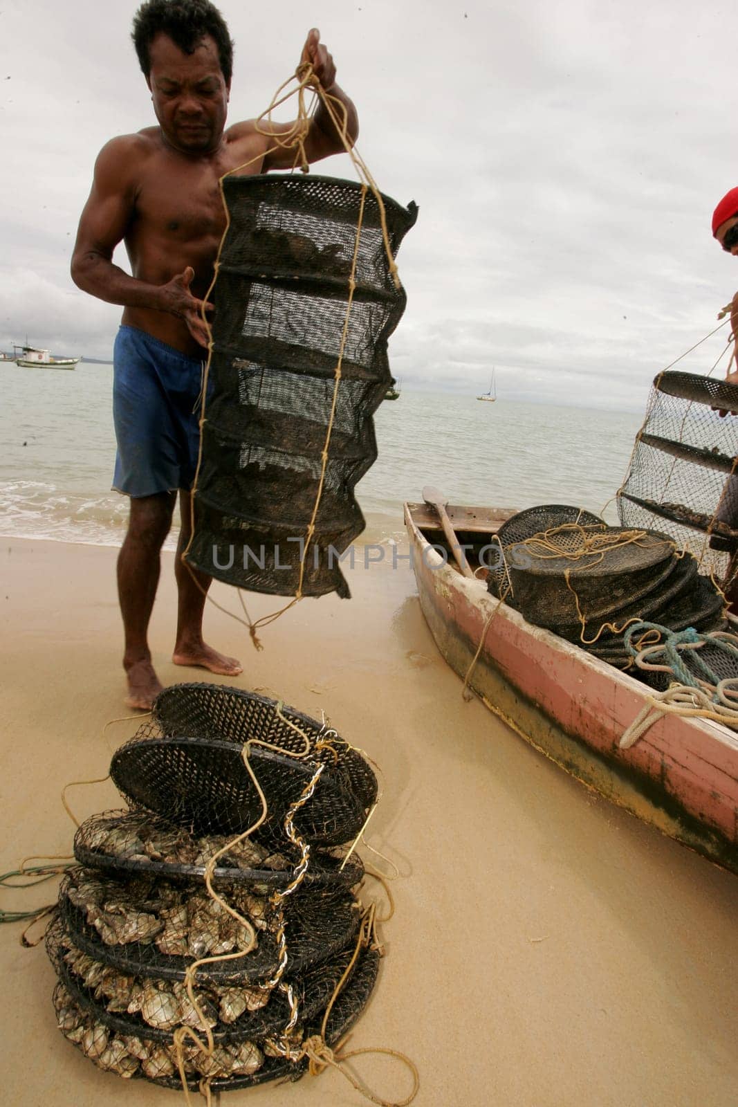 santa cruz cabralia, bahia / brazil - december 13, 2010: fisherman is seen transporting oysters from a breeding site on Coroa Vermelha beach in the city of Santa Cruz Cabralia.....