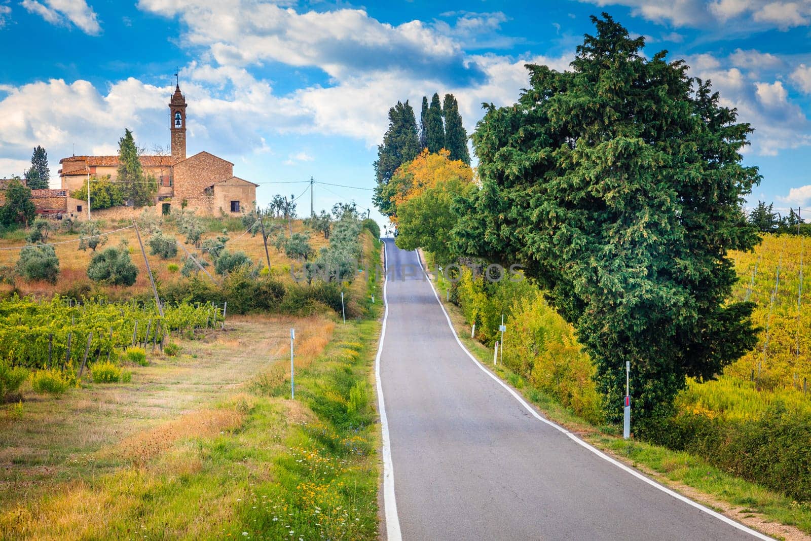Small road through the countryside of Tuscany, Italy
