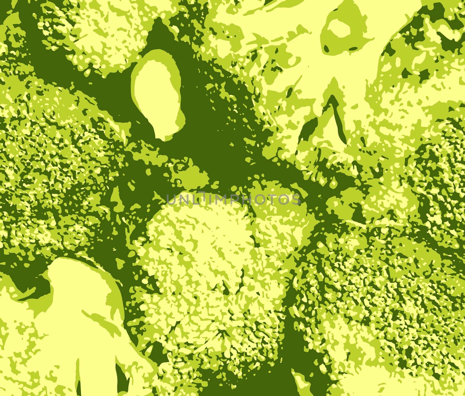 Fresh Organic Broccoli Background. Brassica Oleracea Var. Italica