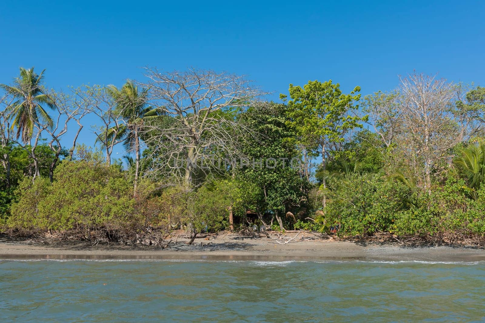 tropical beach on the cebaco island, Panama