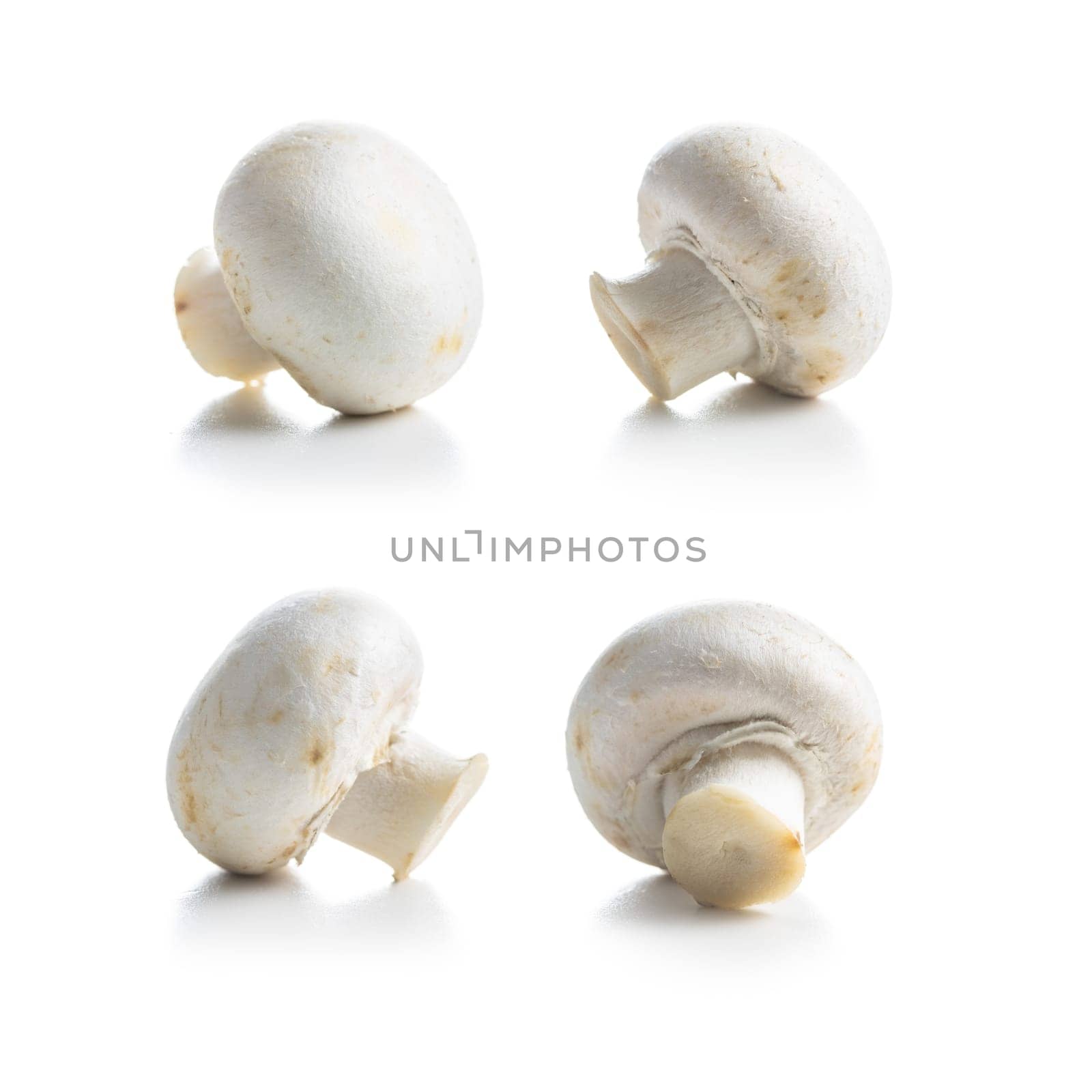Fresh white champignon mushrooms isolated on white background.