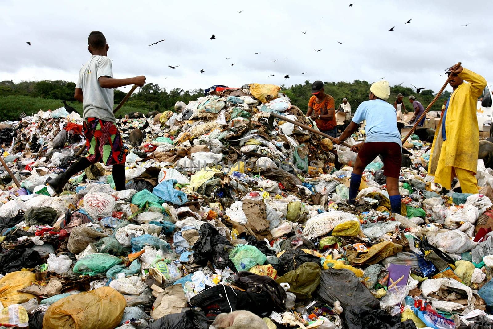 Itabuna, bahia / brazil - september 27, 2011: people are seen turning through the garbage to collect recycling material at the sanitary landfill in the city of Itabuna......