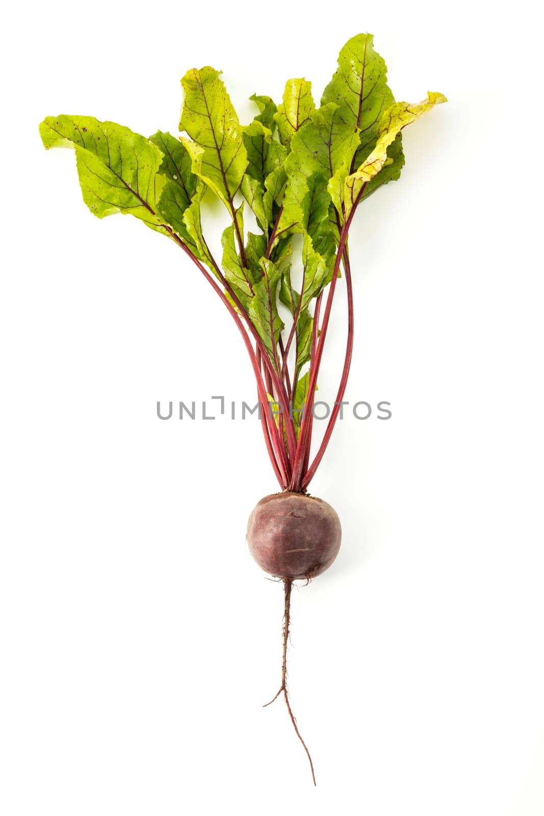 beetroot on white background