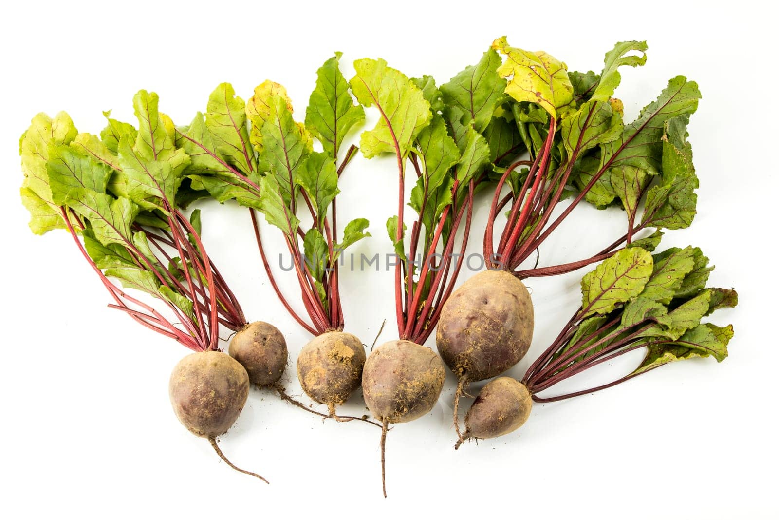 beetroot on white background