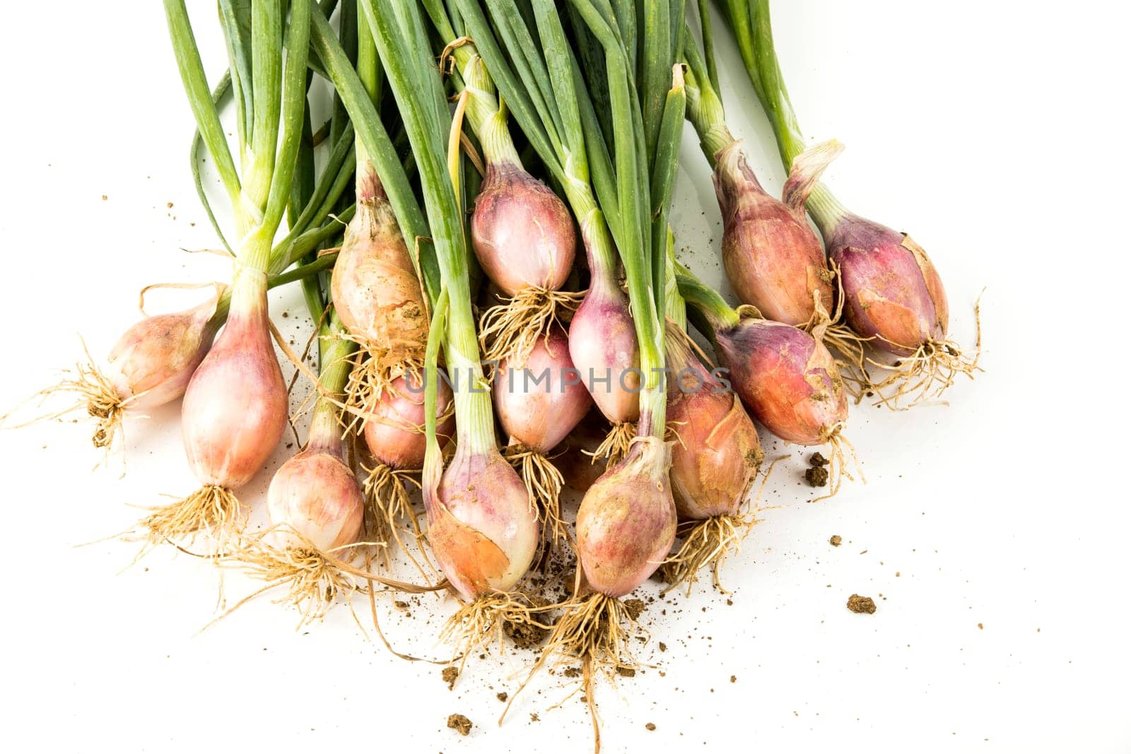 onions