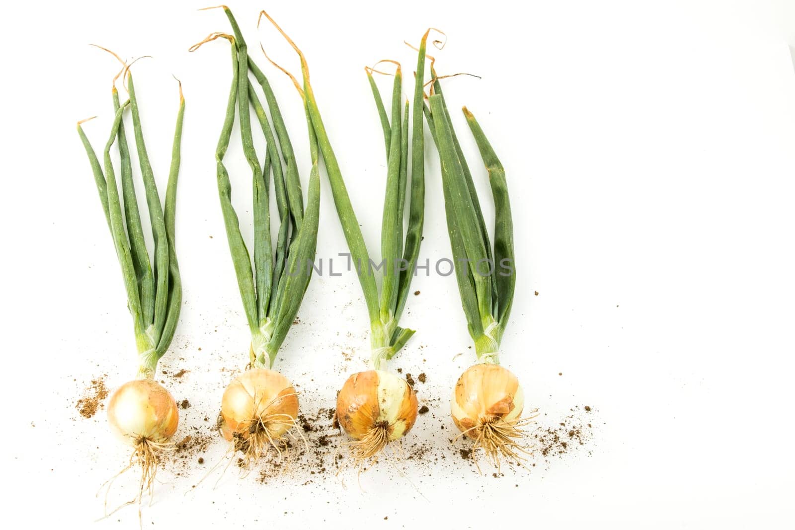 onions