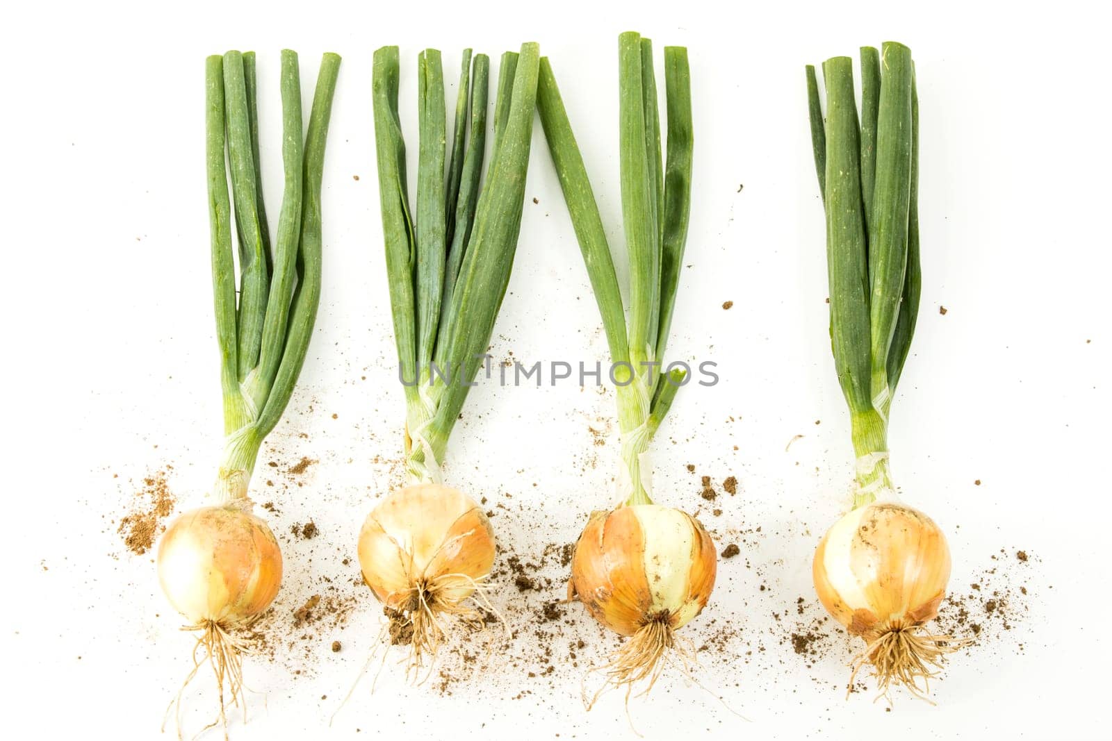 onions