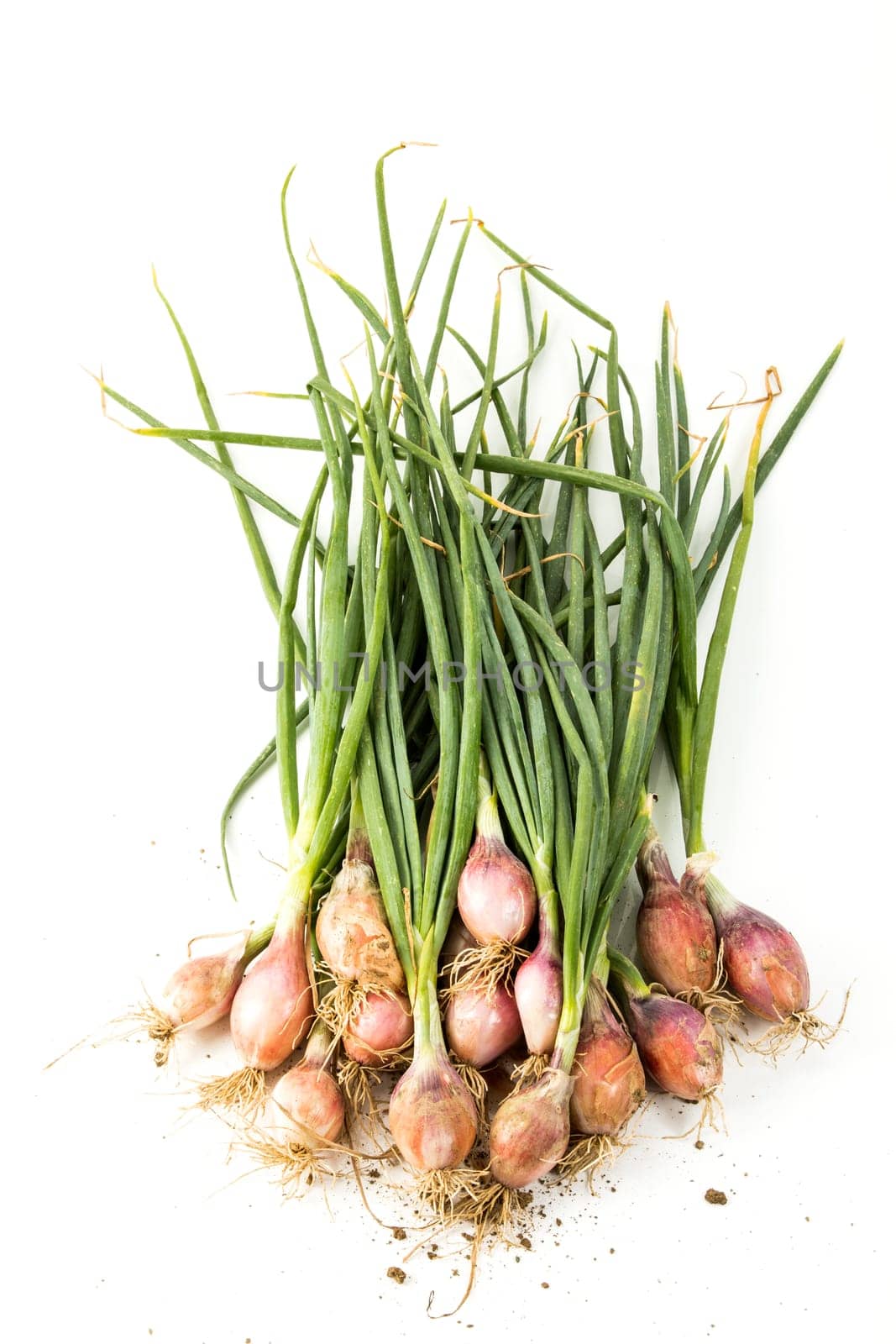 onions