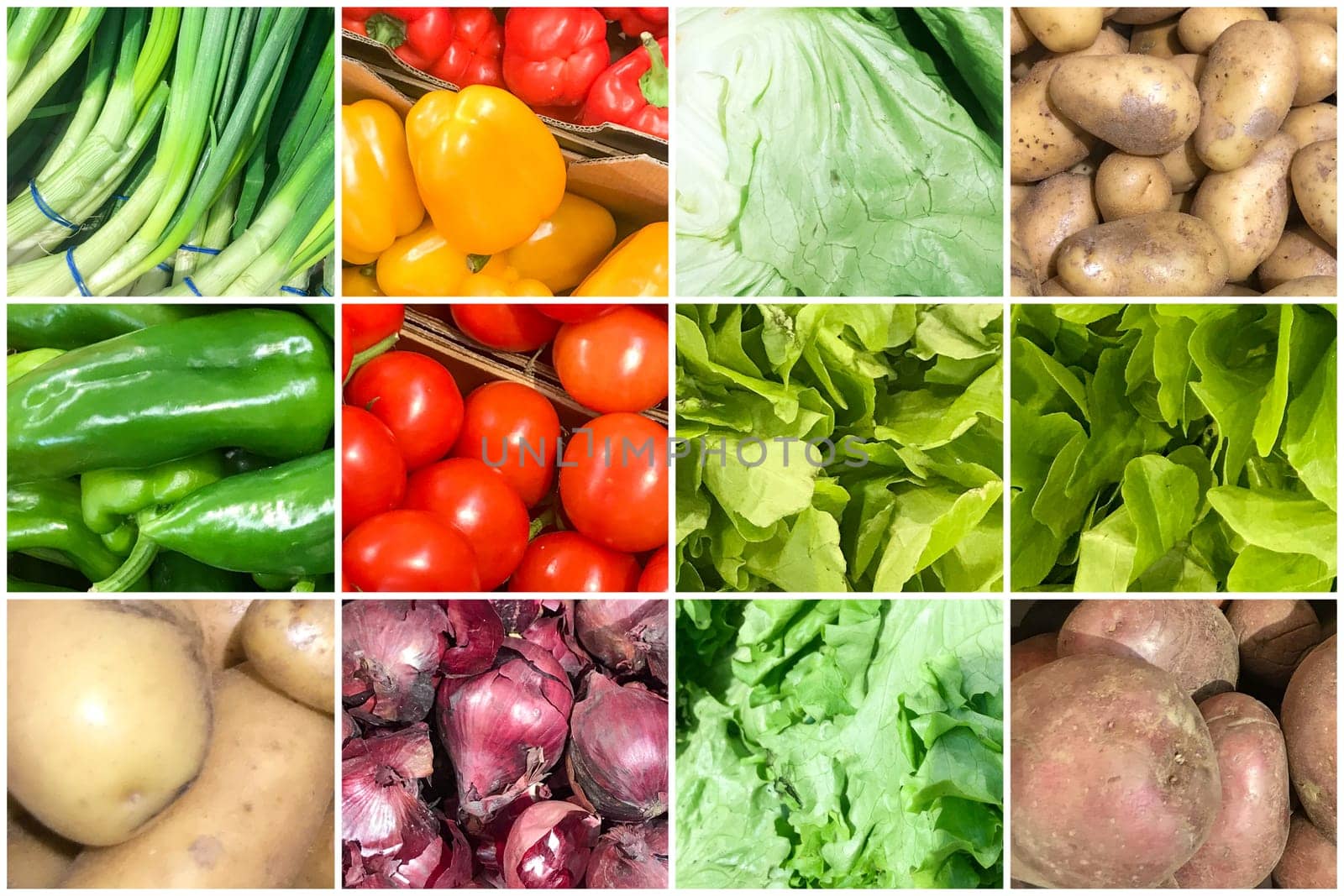 Collage Of Photos With Healthy Organic Vegetables. Collection Of Healthy Fresh Food Backgrounds.