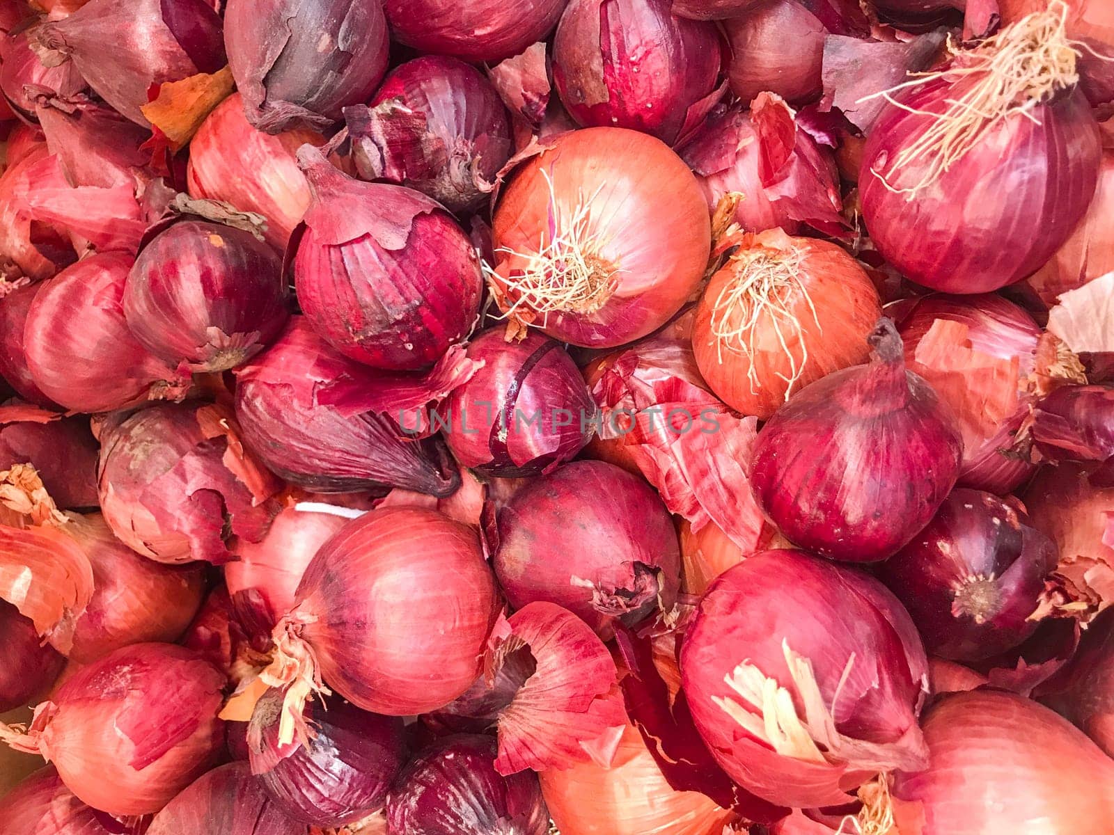Close-Up Of Red Onion. Healthy Fresh Food Background.