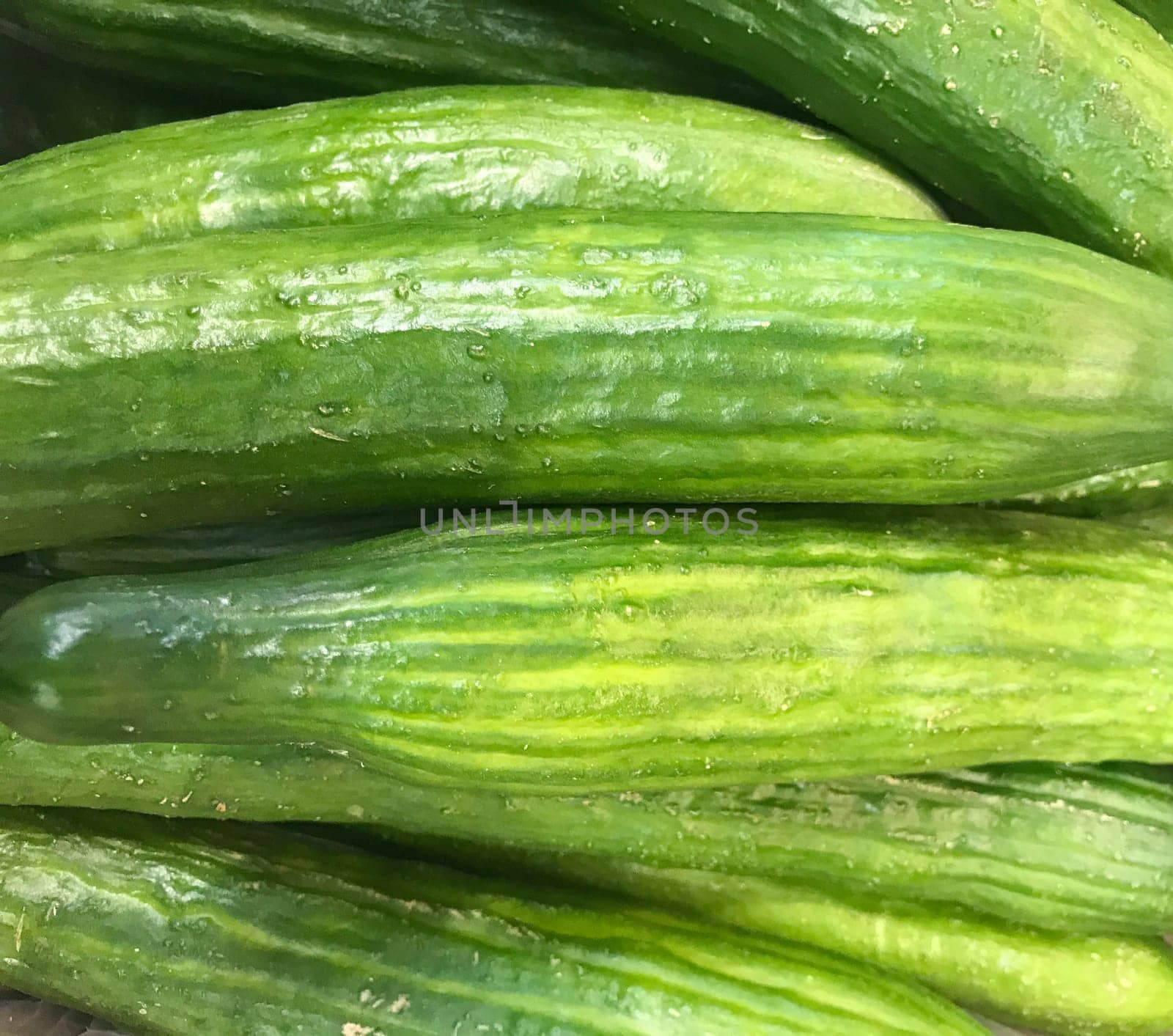 Close-Up Of Ripe Cucumbers. Healthy Fresh Food Background.