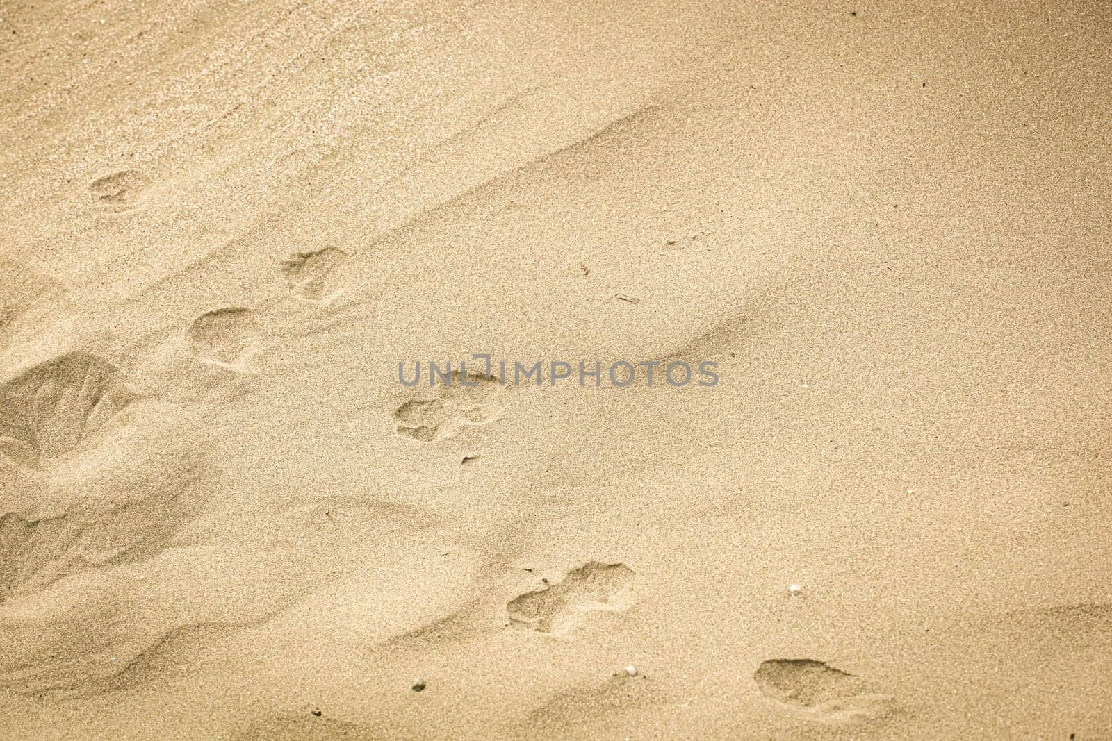 Photo Of Sand Background Texture