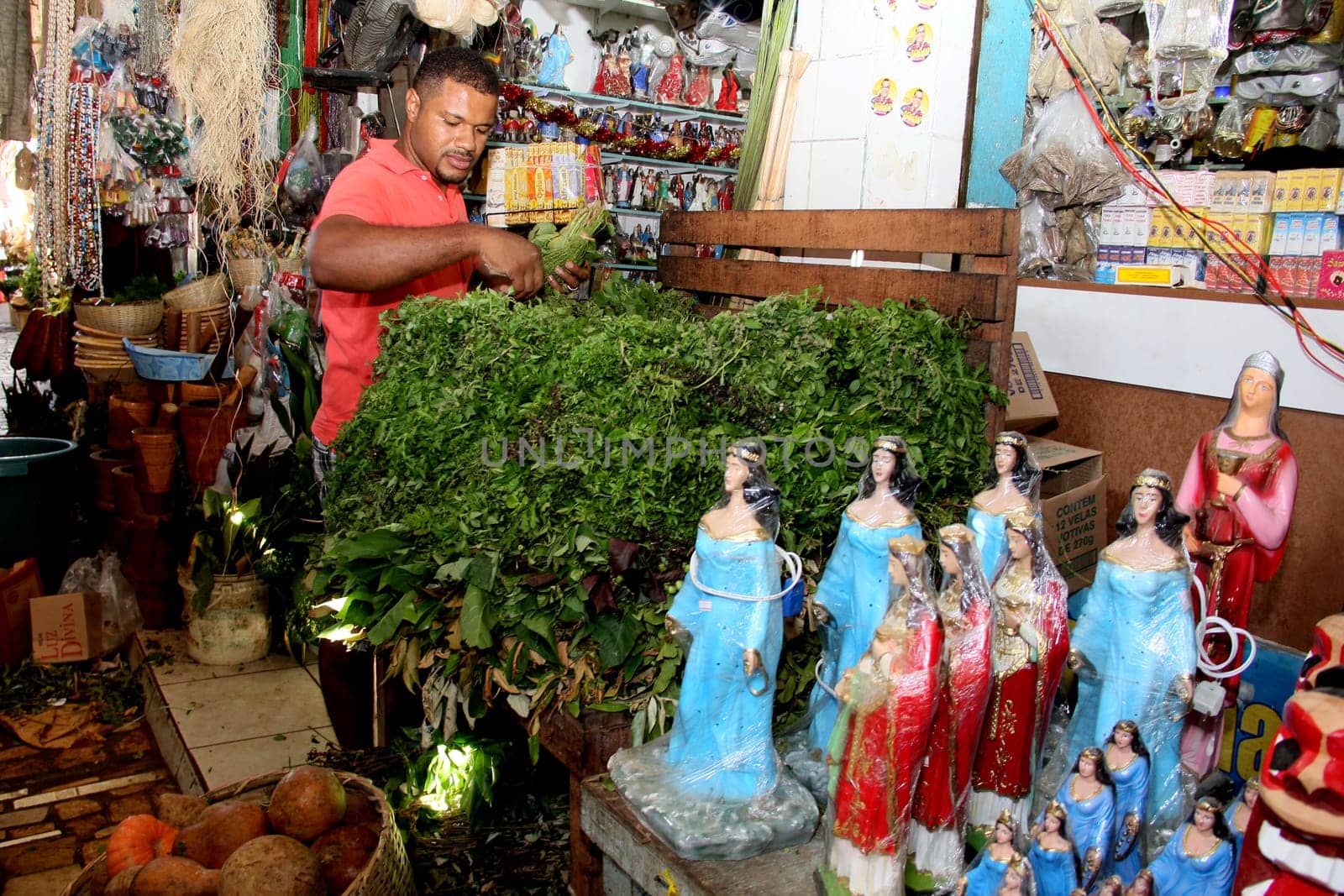 VENDA DE PRODUTOS PARA BANHOS ESPIRITUAIS.Eduardo dos Santos, 33, microempresário, compra folha para limpeza da casa e para banho espiritual, na Feira de São Joaquim, em Salvador (BA)..Foto: Joá Souza/ Ag. A TARDE.Data: 31/12/2013.