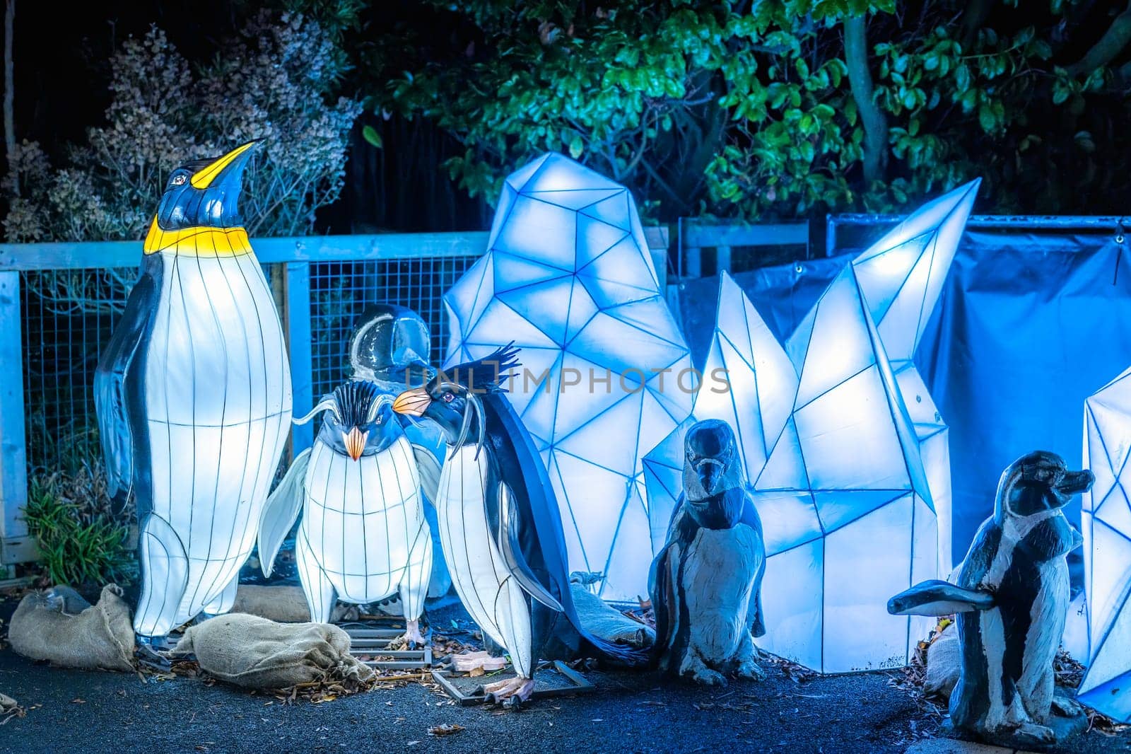 Dublin, Ireland, November 2018 Wild lights at Dublin zoo. Light displays of Ocean Lights, the Arctic and the North Pole themes