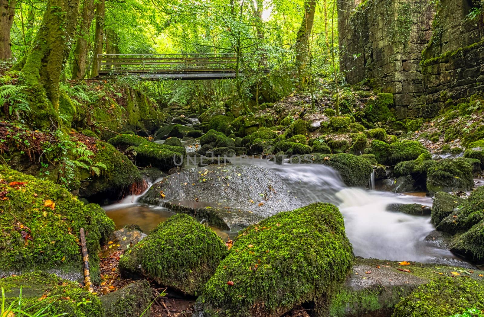 Kennall river in Kennall Vale Nature Reserve, Ponsanooth, Cornwall, United Kingdom