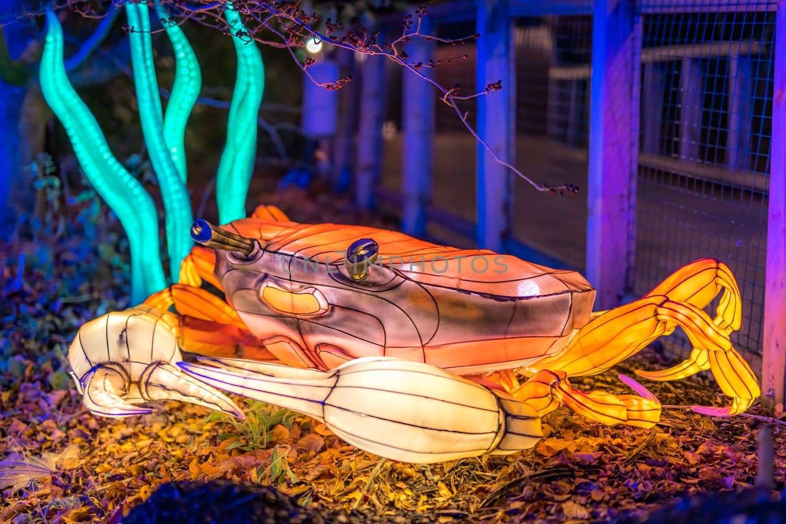 Dublin, Ireland, November 2018 Wild lights at Dublin zoo. Light displays of Ocean Lights, the Arctic and the North Pole themes