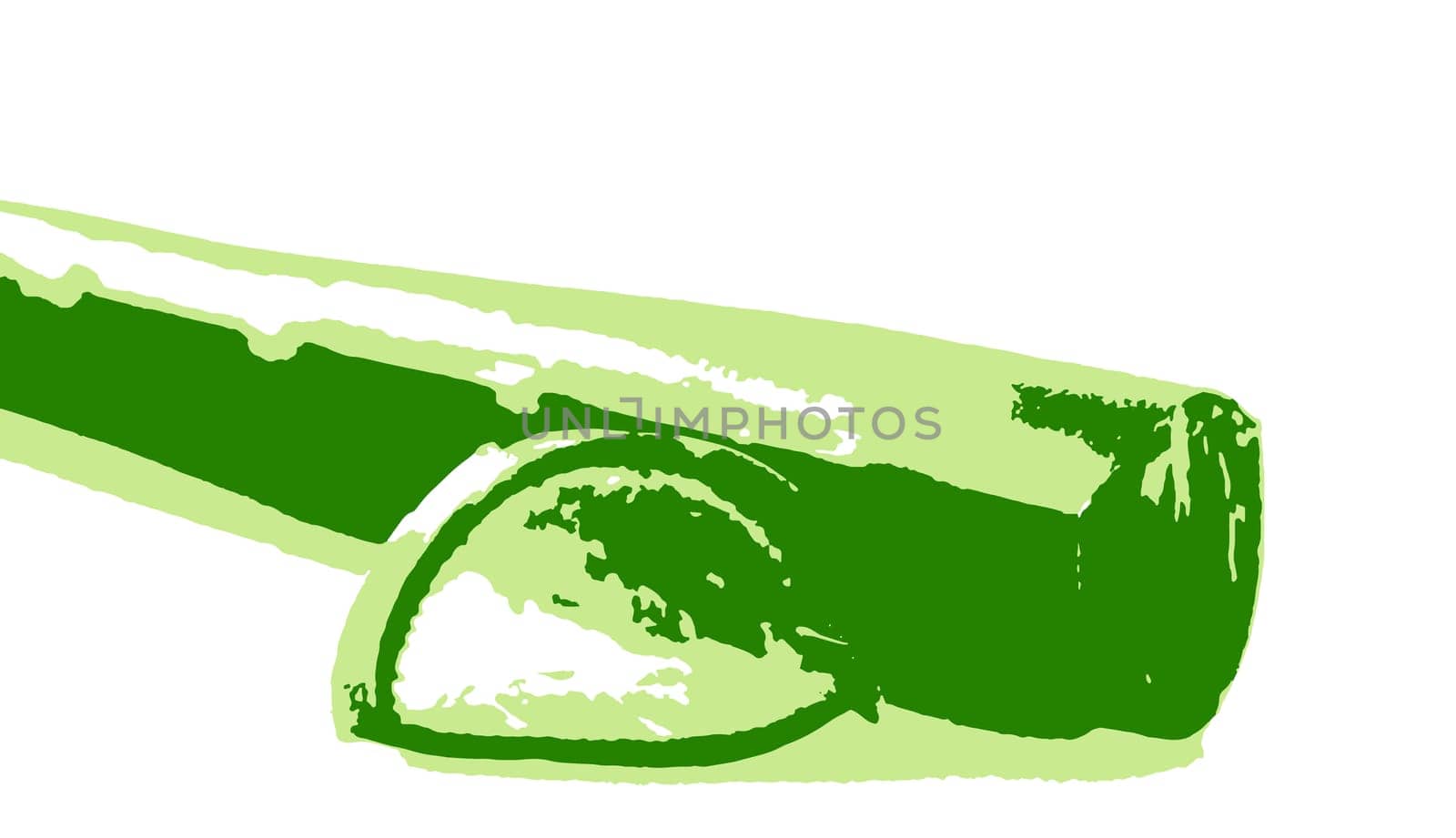 Aloe vera plant isolated on white background. Aloe vera is a succulent plant species of the genus Aloe. It is cultivated for agricultural and medicinal uses