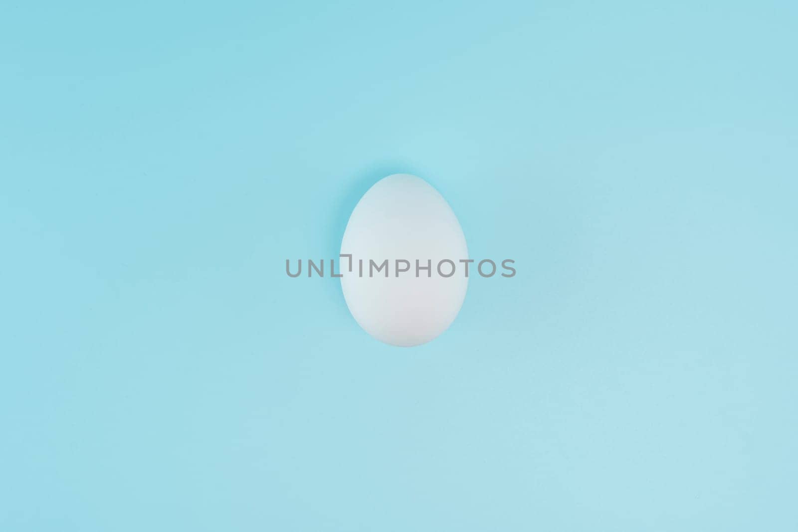 A single white egg placed on a pastel blue background, casting a soft shadow. Minimalist composition with a clean and modern aesthetic, symbolizing purity, simplicity, and freshness