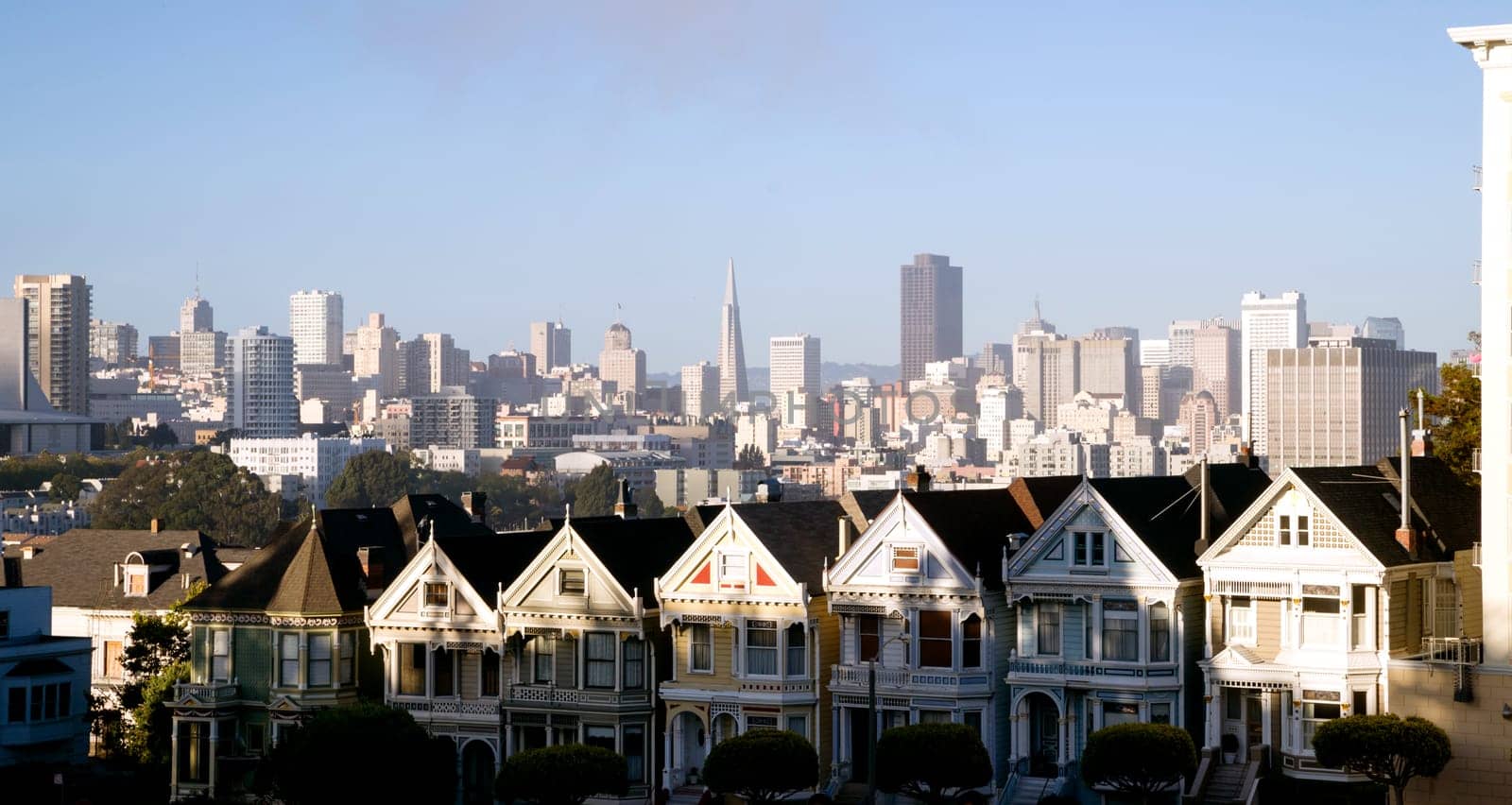 Painted Ladies Residential Homes Alamo Park San Francisco