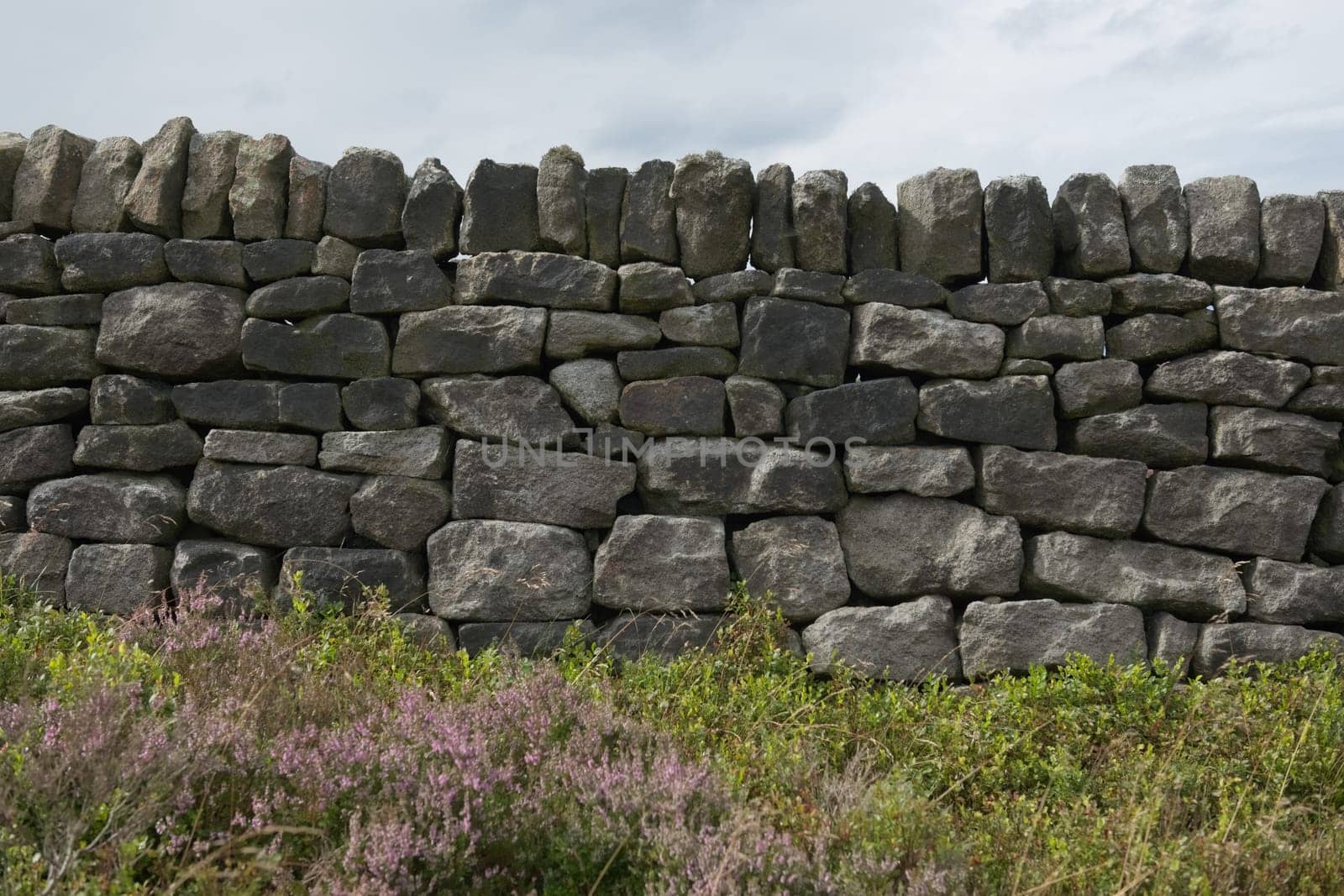 5 - Many various sizes of stones or bricks make up this dry stone wall. Simple background texture with peak district heather and plants in foreground