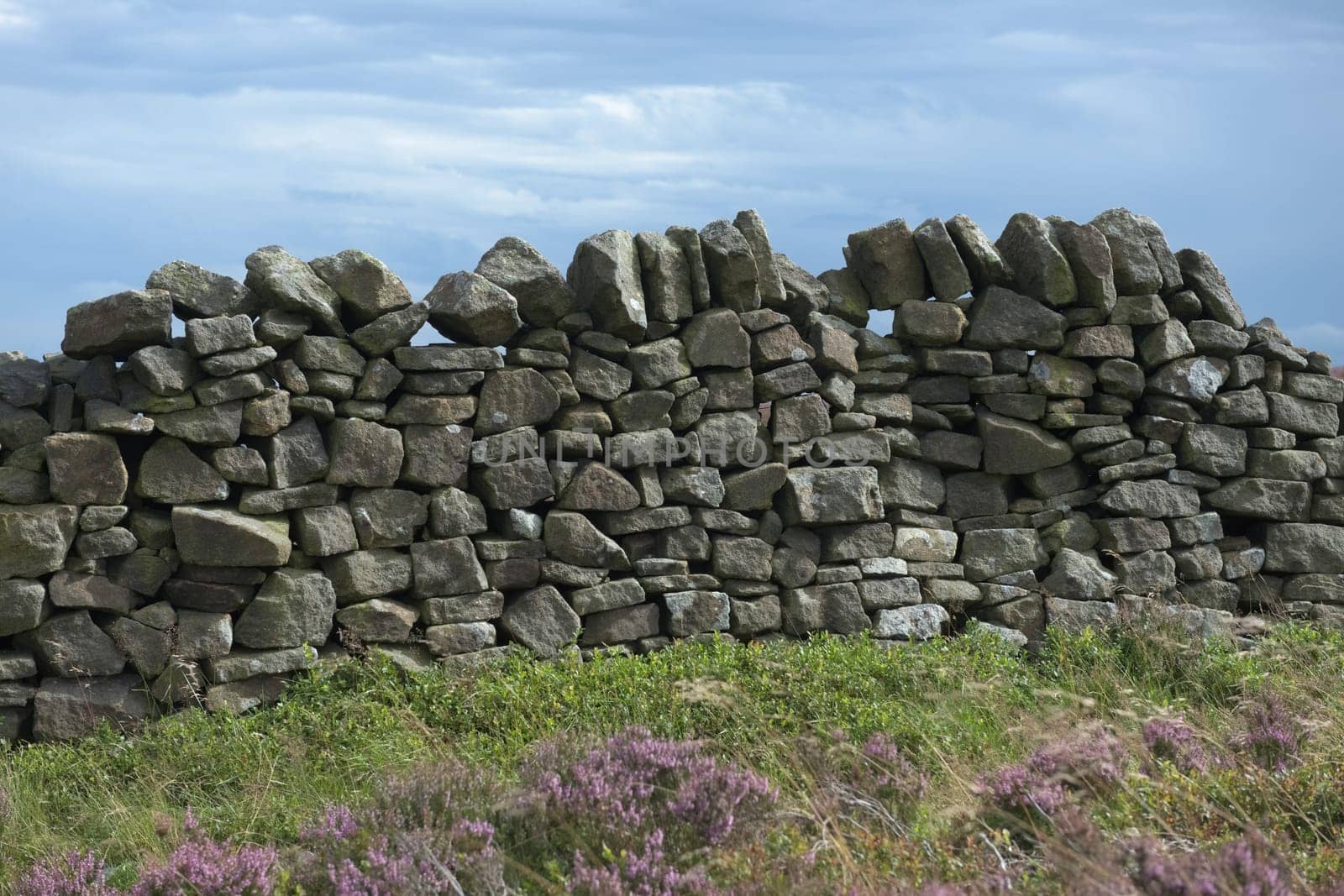 2 - Simple image of a dry stone wall in the peak district. Pink purple heather in the foreground and plants. Smooth blue clouds in the background.