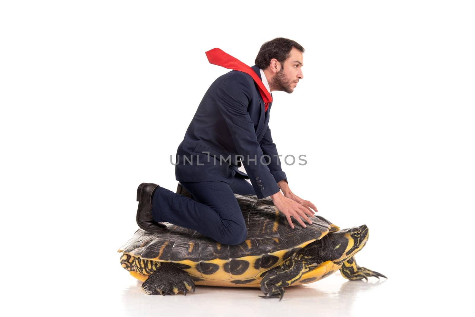 Businessman riding a turtle isolated in a white background