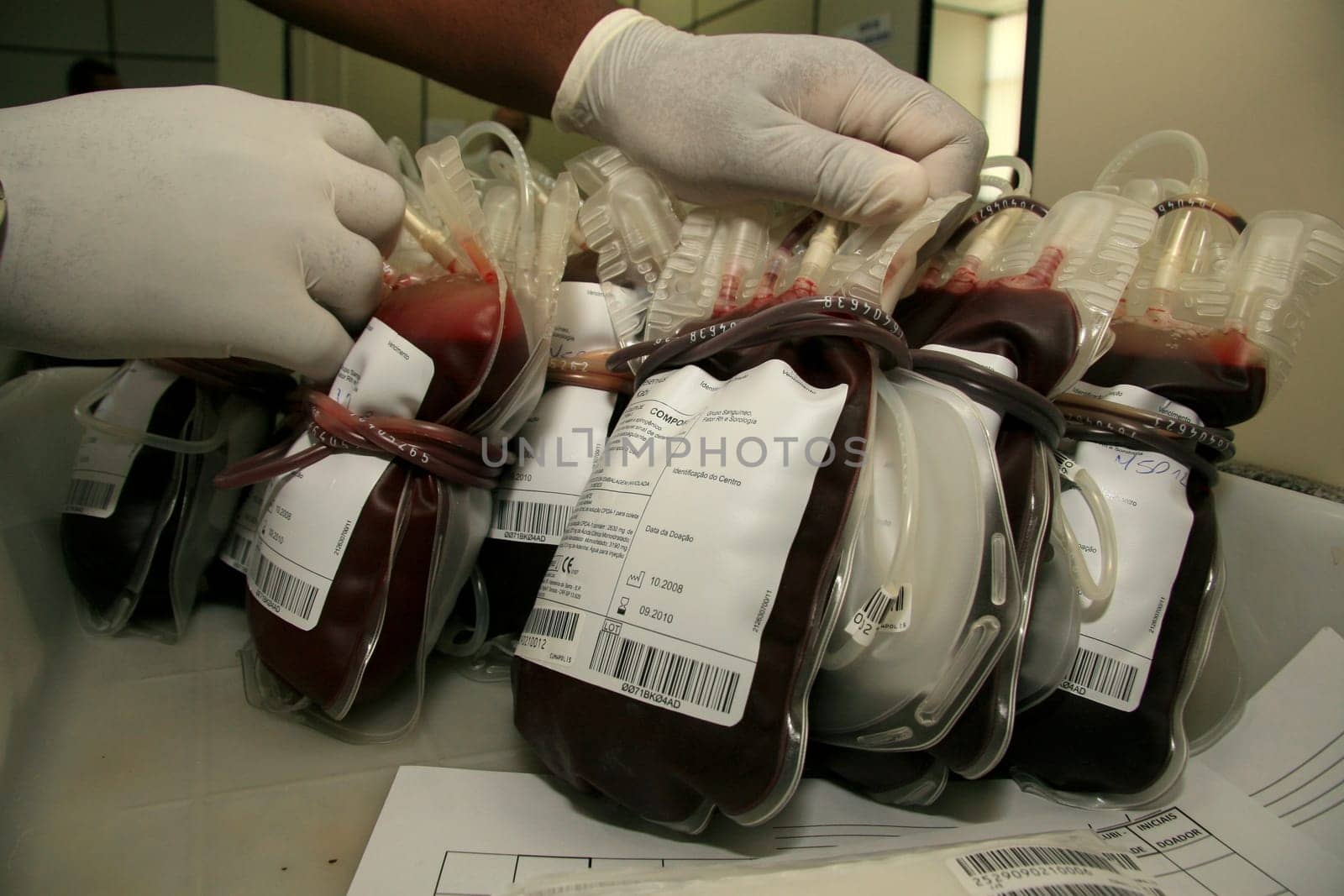 salvador, bahia / brazil - february 10, 2009: Donated blood bag in blood center in Eunapolis city. The blood is distributed to public hospitals in Bahia.