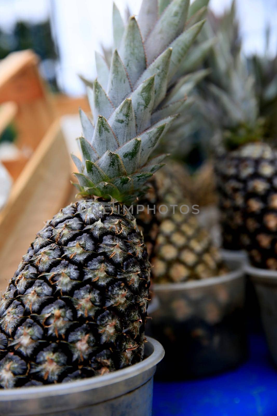salvador, bahia / brazil - september 11, 2020: pineapple is seen for sale on the street in the city of Salvador.