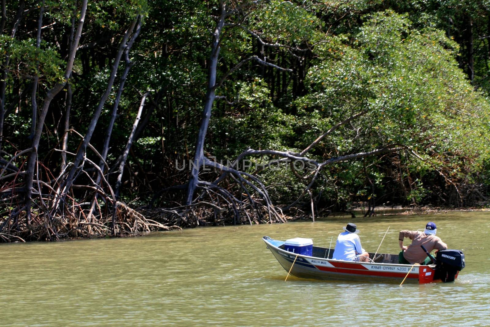 prado, bahia / brazil - september 11, 2008: mangrove is seen at the mouth of the Rio Jucurucu in the city of Prado..