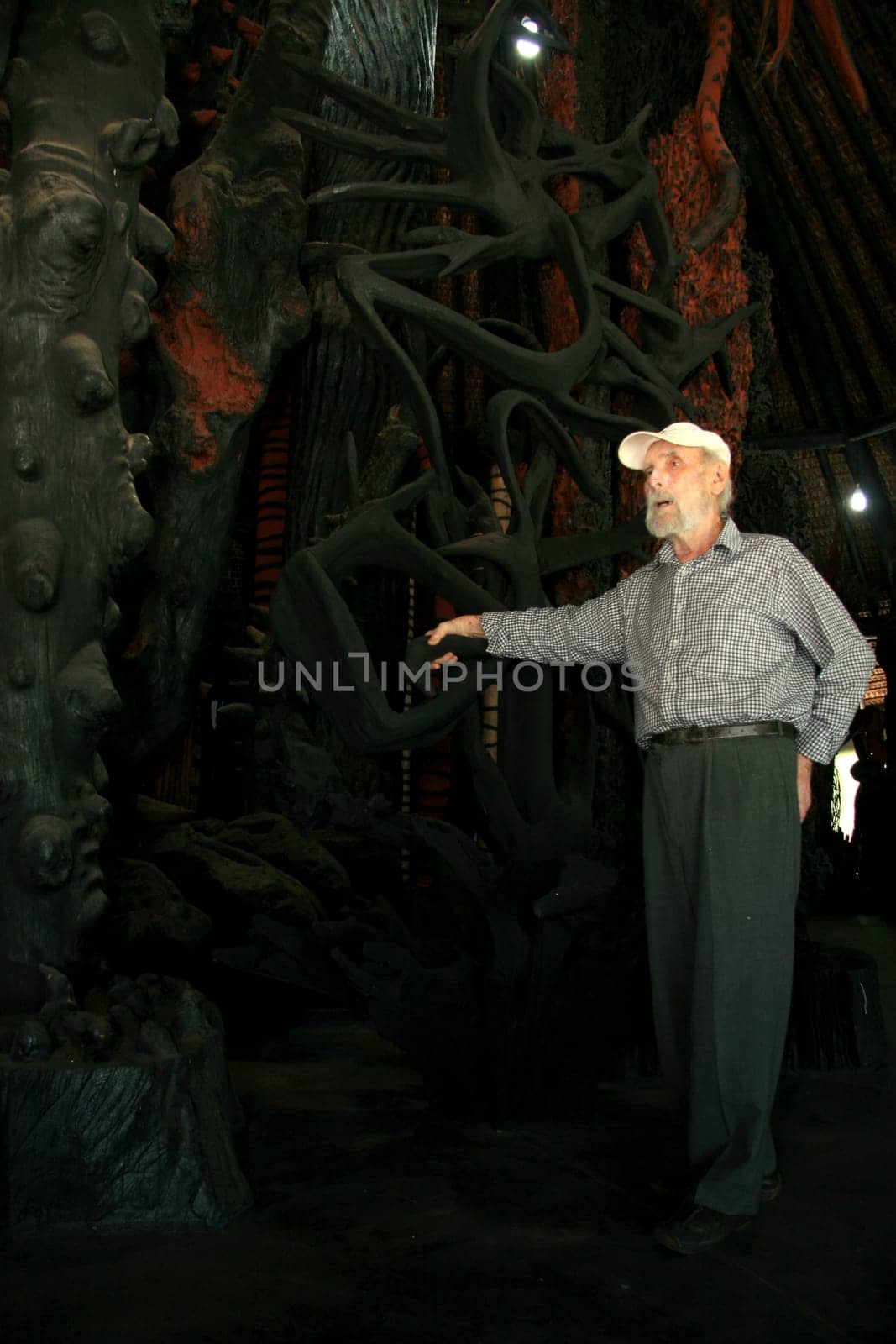 nova vicosa, bahia / brazil - october 27, 2008: Frans Krajcberg, artist and environmentalist, is seen at Sitio Natura in the city of Nova Vicosa, in southern Bahia.