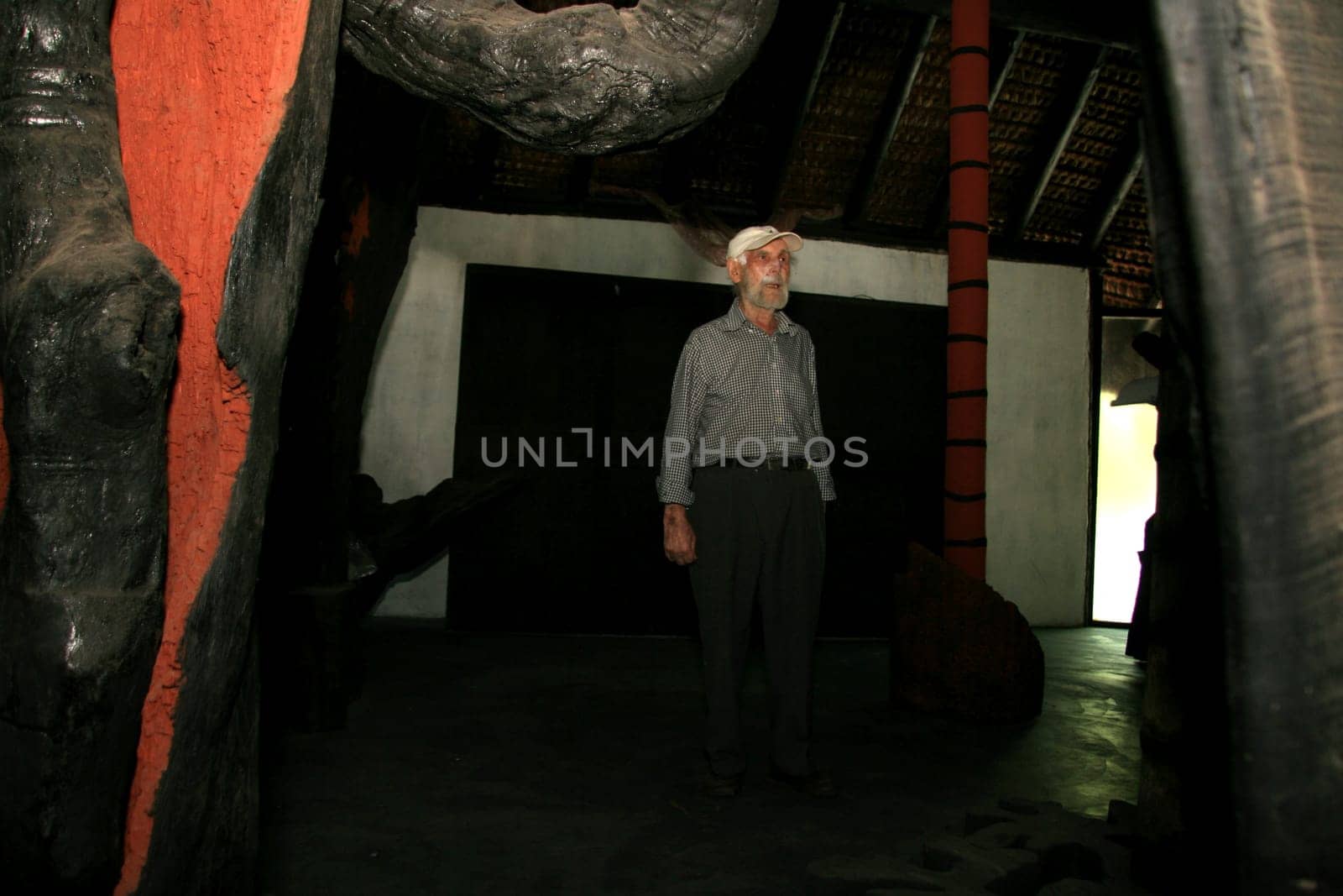 nova vicosa, bahia / brazil - october 27, 2008: Frans Krajcberg, artist and environmentalist, is seen at Sitio Natura in the city of Nova Vicosa, in southern Bahia.