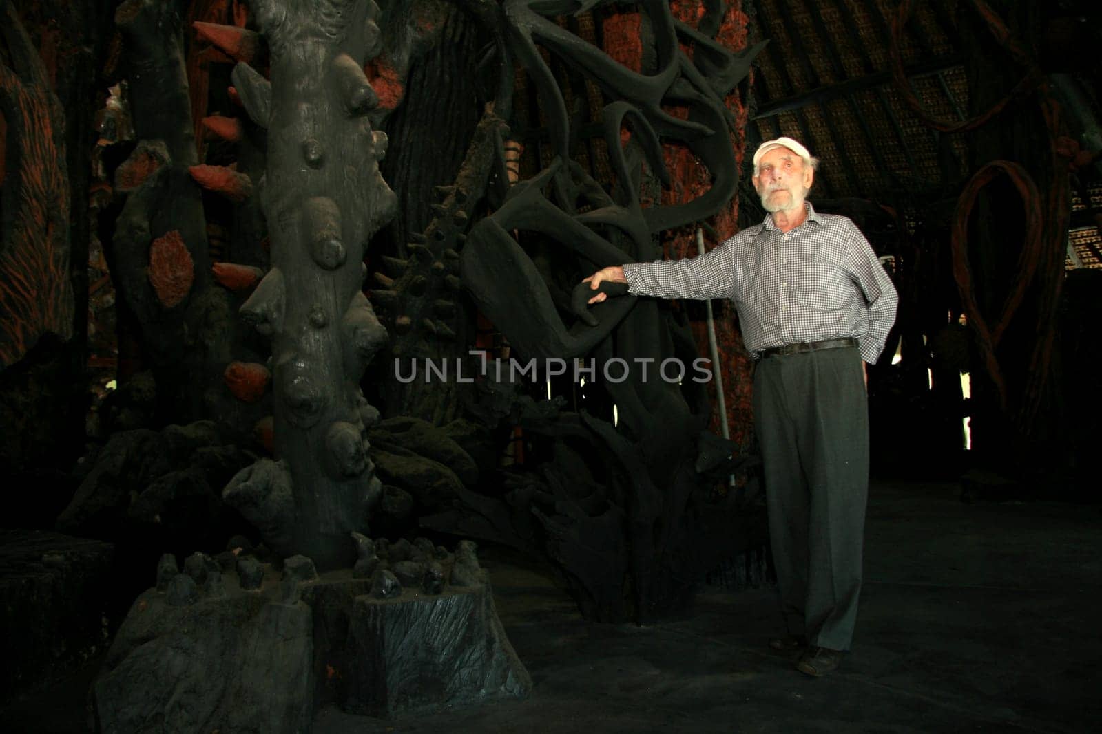nova vicosa, bahia / brazil - october 27, 2008: Frans Krajcberg, artist and environmentalist, is seen at Sitio Natura in the city of Nova Vicosa, in southern Bahia.