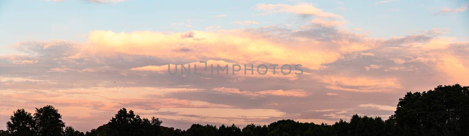 Sky panorama during sunset over forest with pastel colors sky and colorful clouds. Nature background