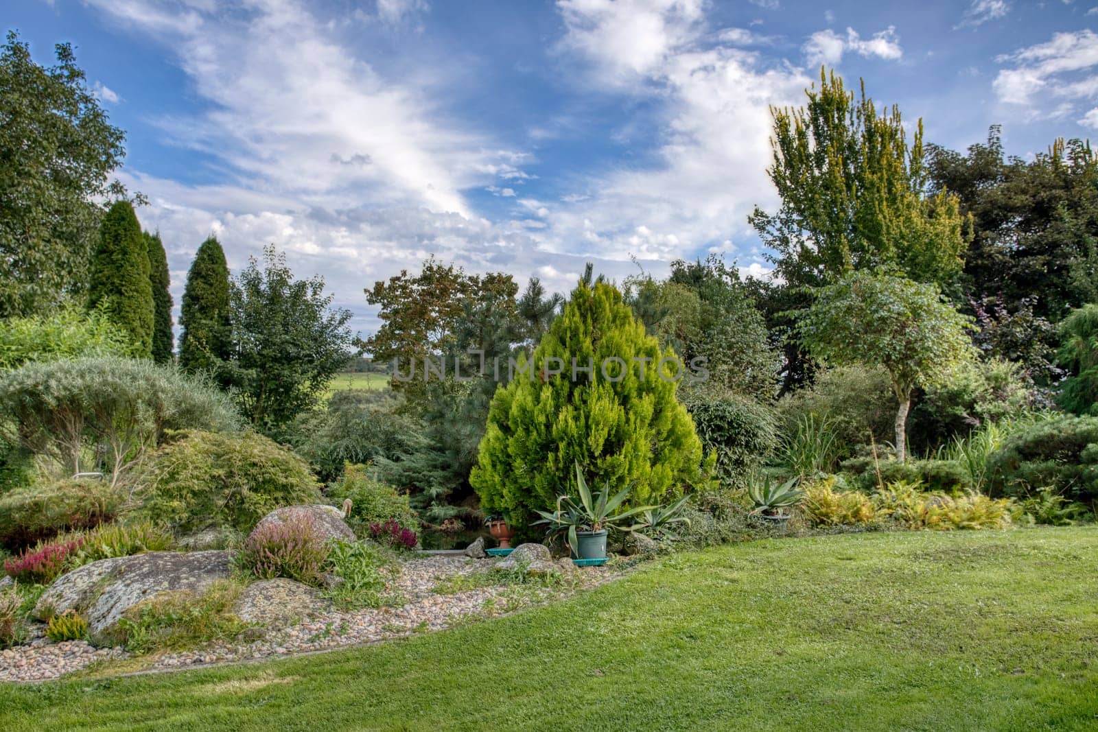 summer garden with green conifer trees and freshly chopped grass, gardening concept