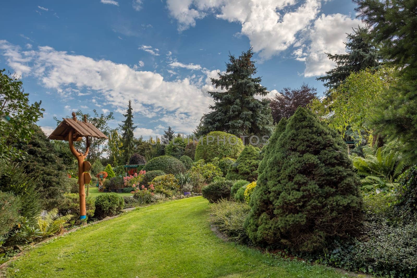 late summer garden with tourist signpost. Evergreen garden concept