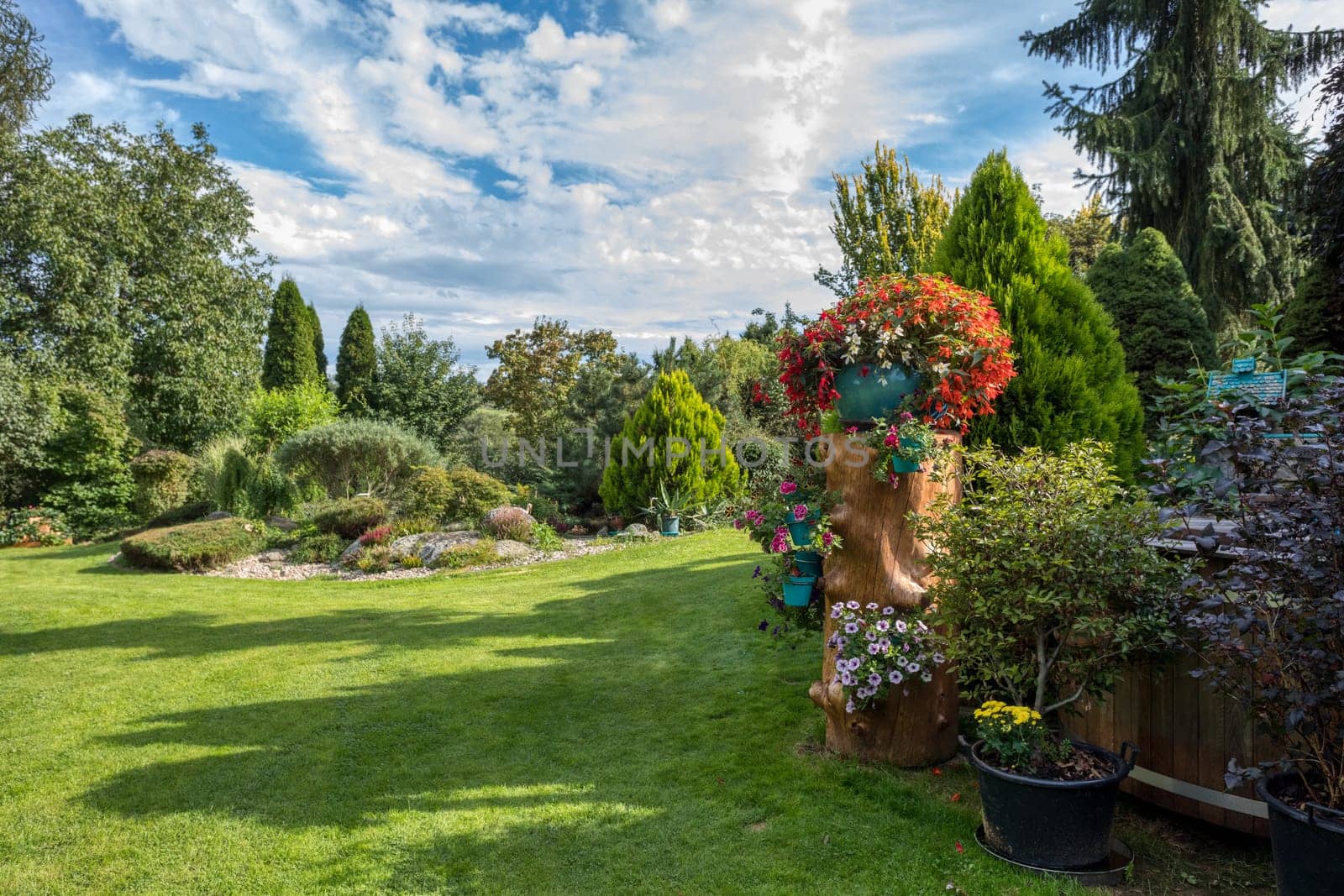 flower pots installed on tree trunk, summer garden with flowers Begonia boliviensis and petunia surfinia