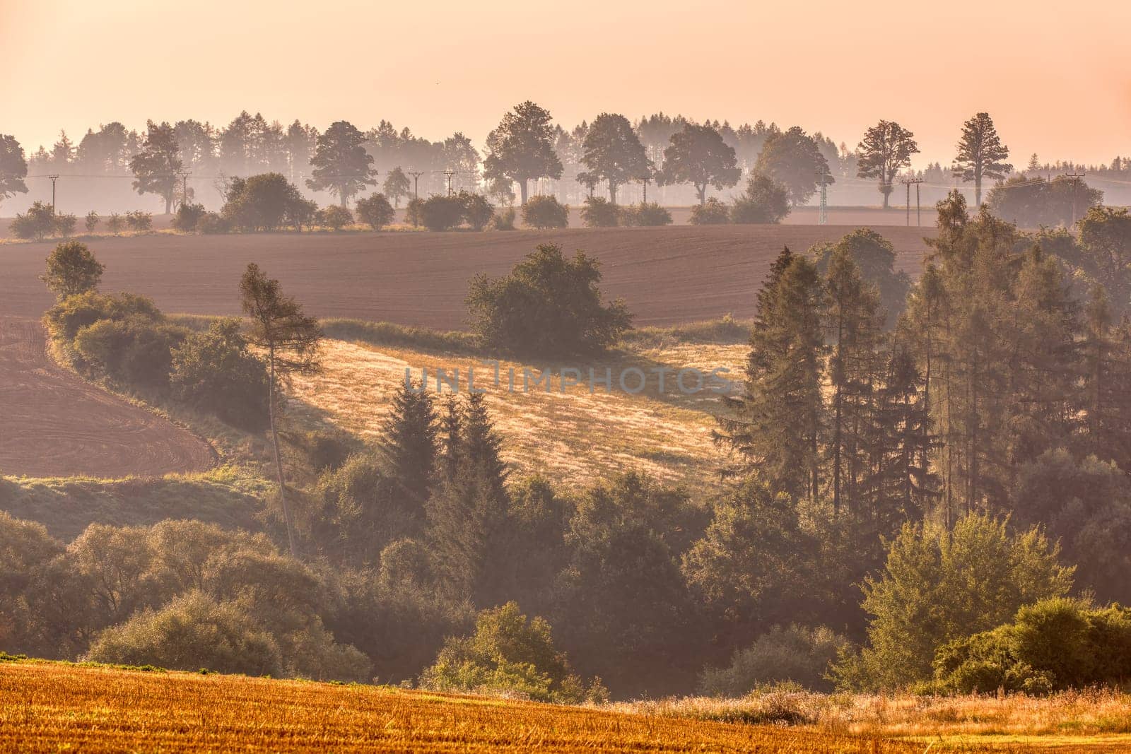 fall misty and foggy country landscape with a tree silhouette on a fog at sunrise, rural countryside Jihlava, Puklice Vysocina Czech Republic