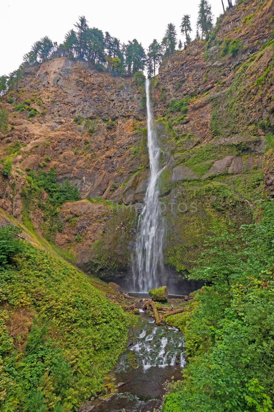 Delicate Cascade of Upper Multnomah Falls Coming Over a Volcanic Cliff in the Columbia Gorge in Oregon